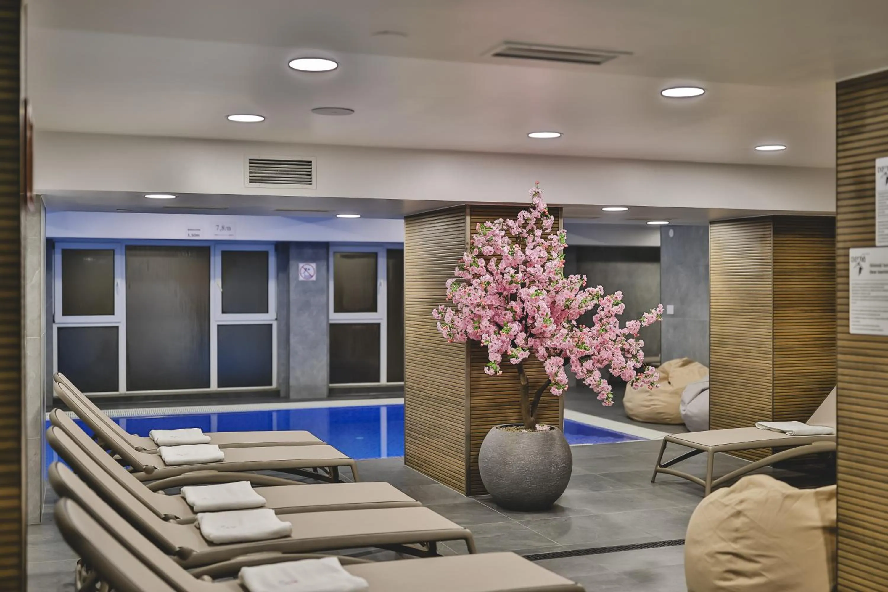 Spa and wellness centre/facilities in Hotel Dorna