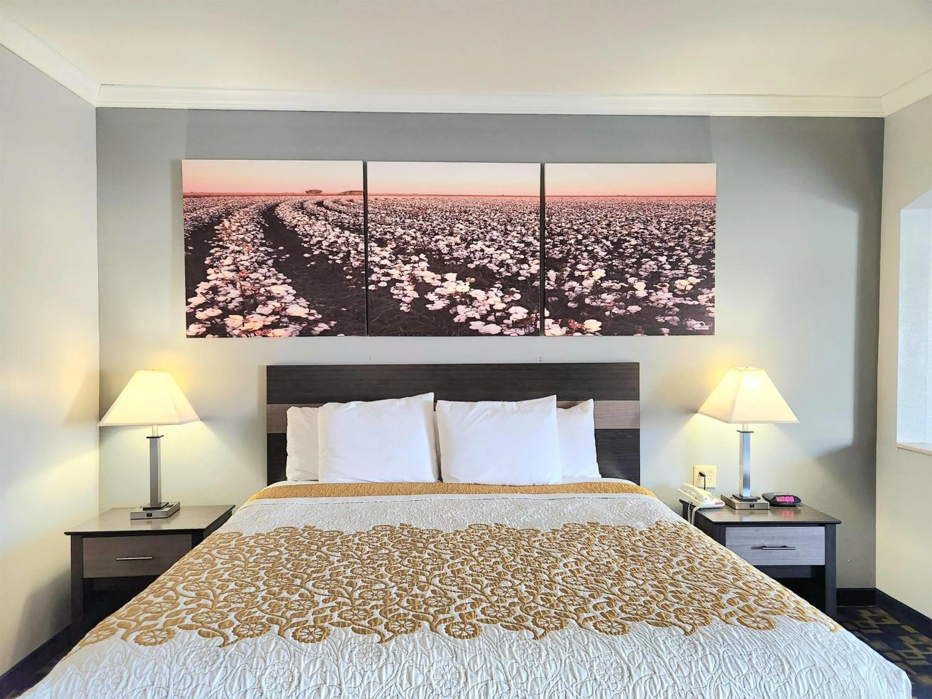 Photo of the whole room, Bed in Days Inn by Wyndham Robstown