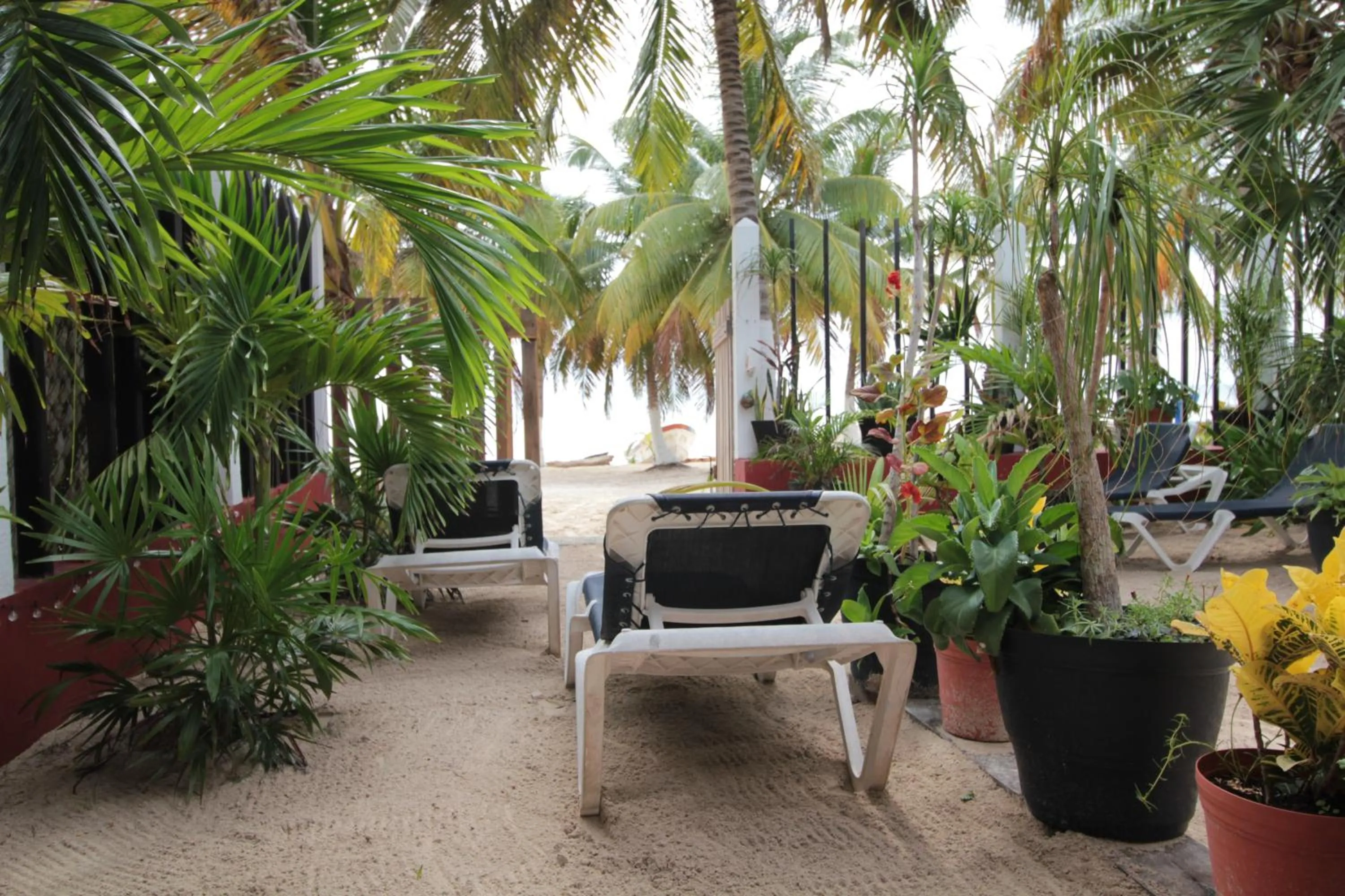 Area and facilities in Villas Roseliz