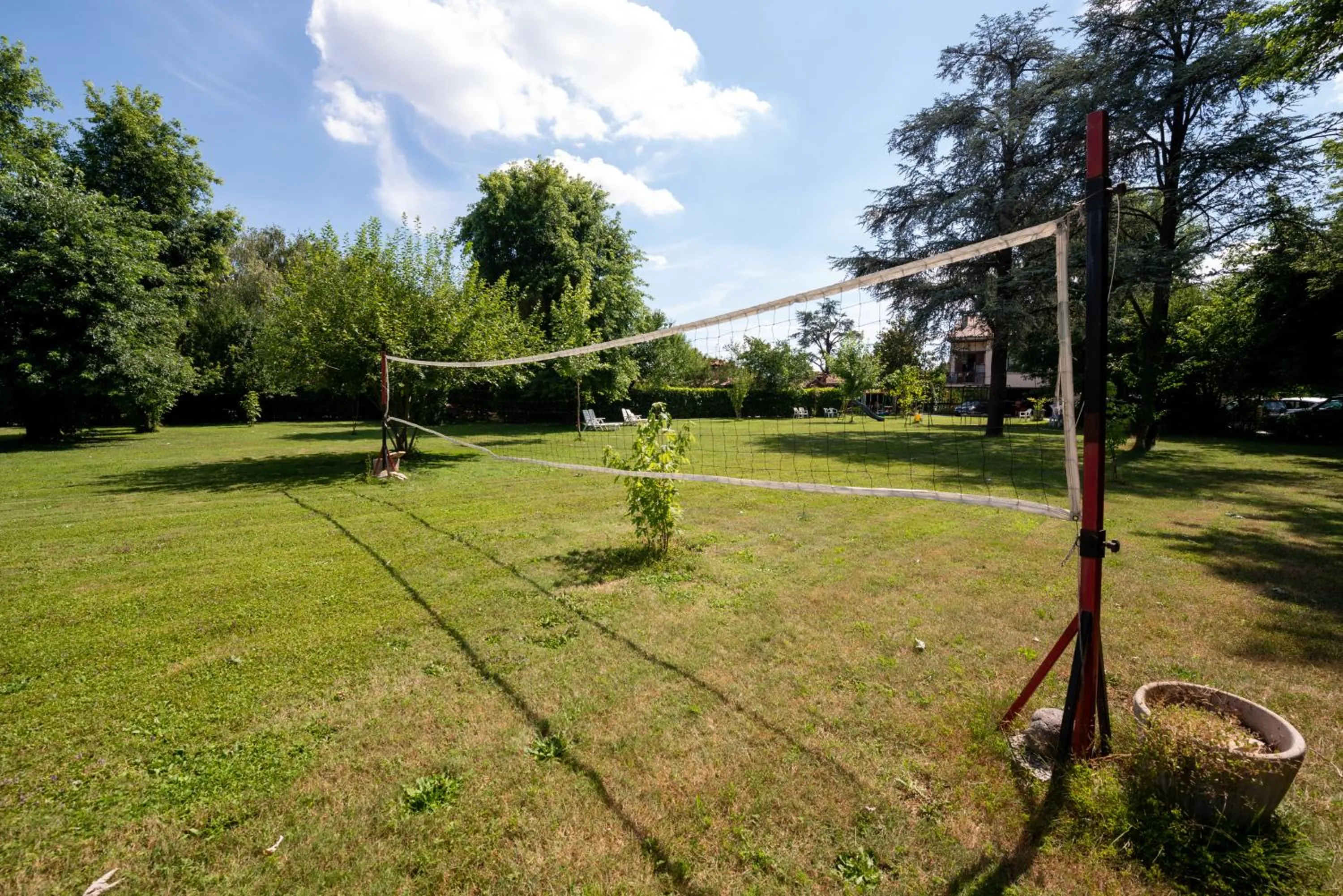 Activities in B&B Family First