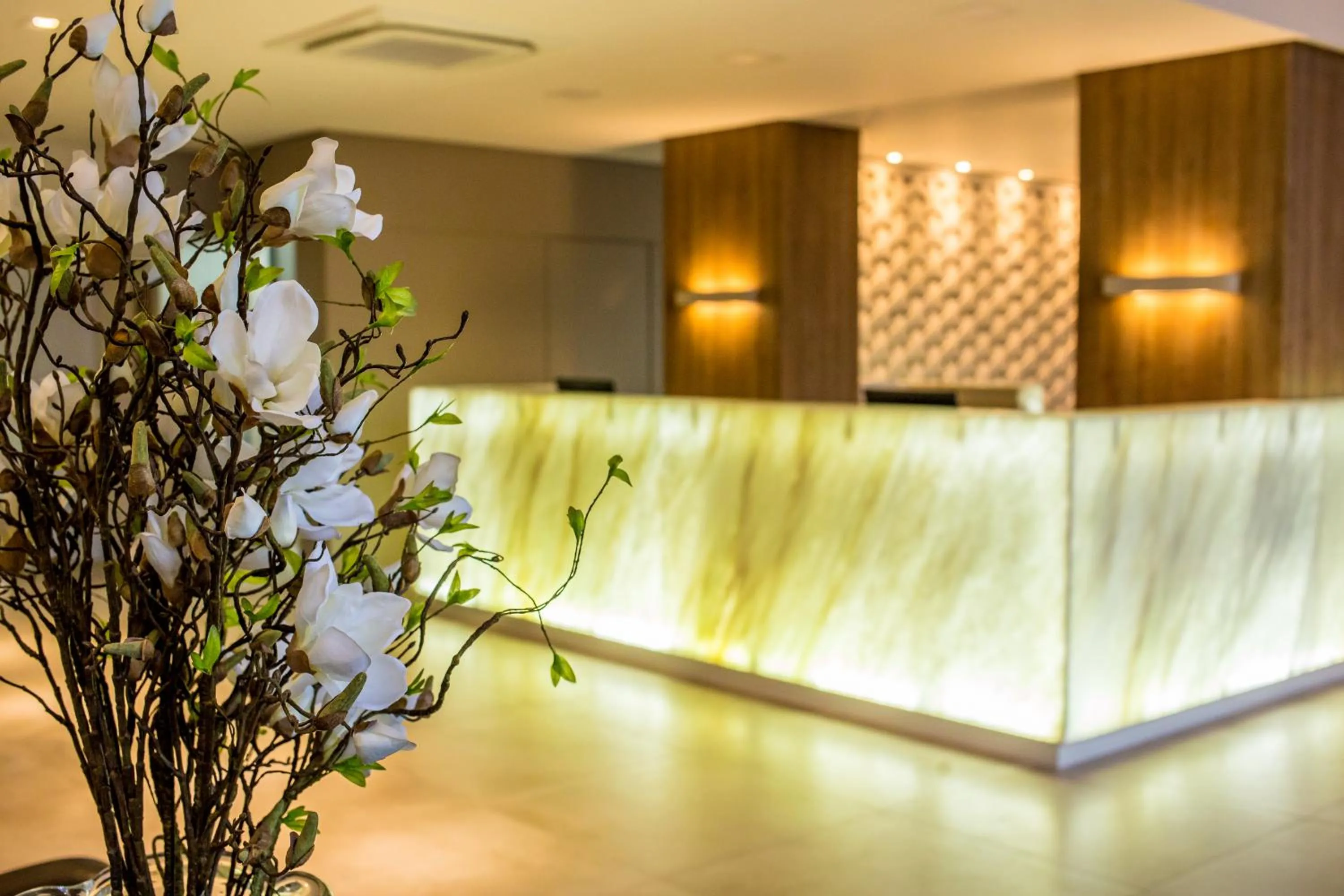 Lobby or reception in Tri Hotel Premium Criciúma