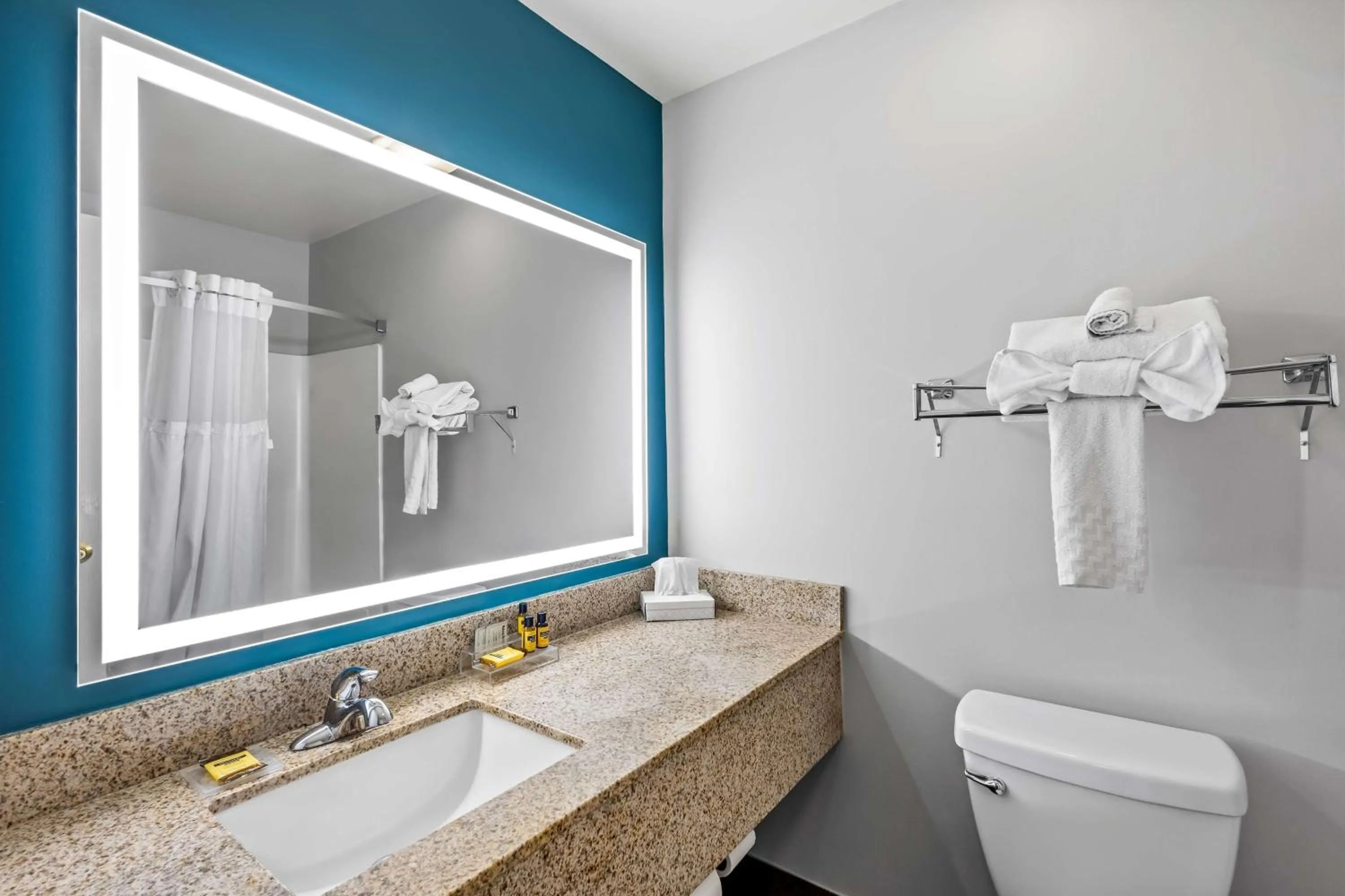 Bathroom in Best Western Fort Wayne Inn & Suites North