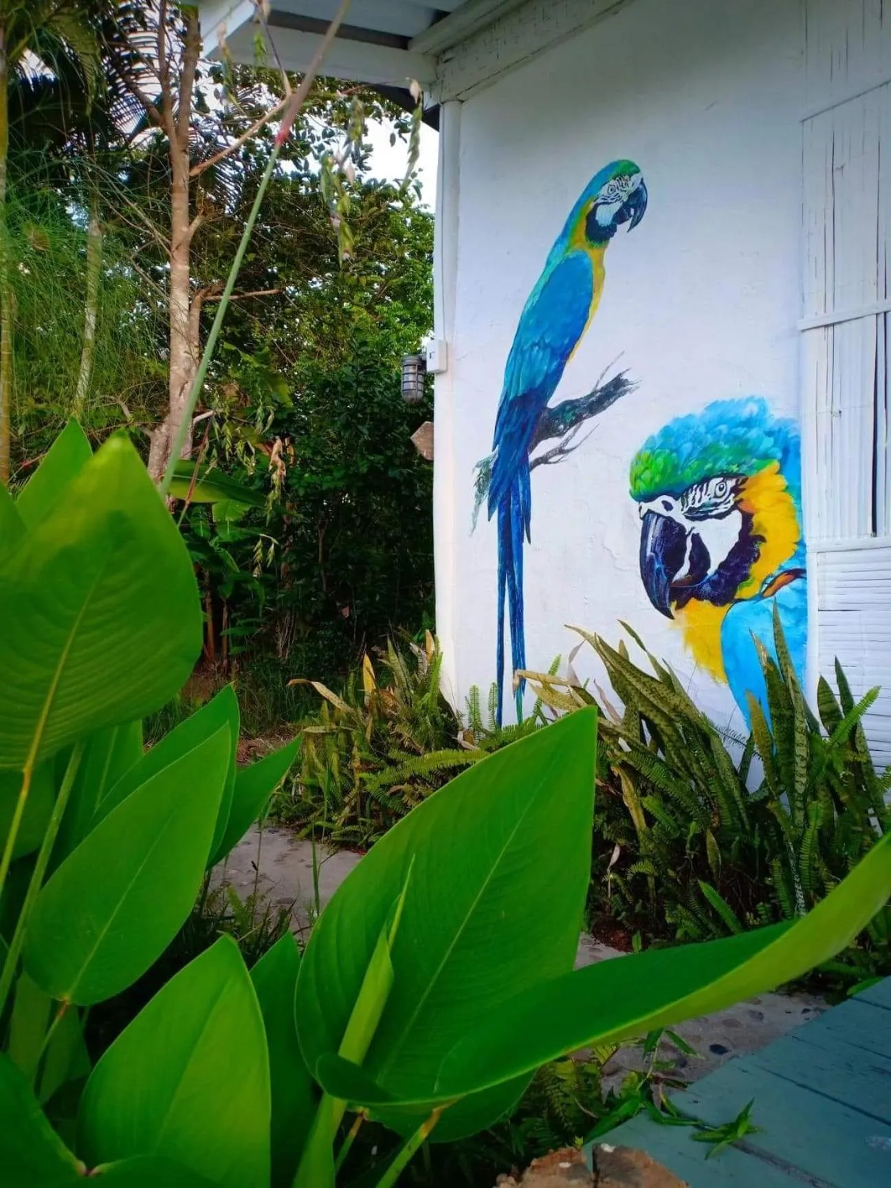 Bueng Pai Farm บึงปายฟาร์ม