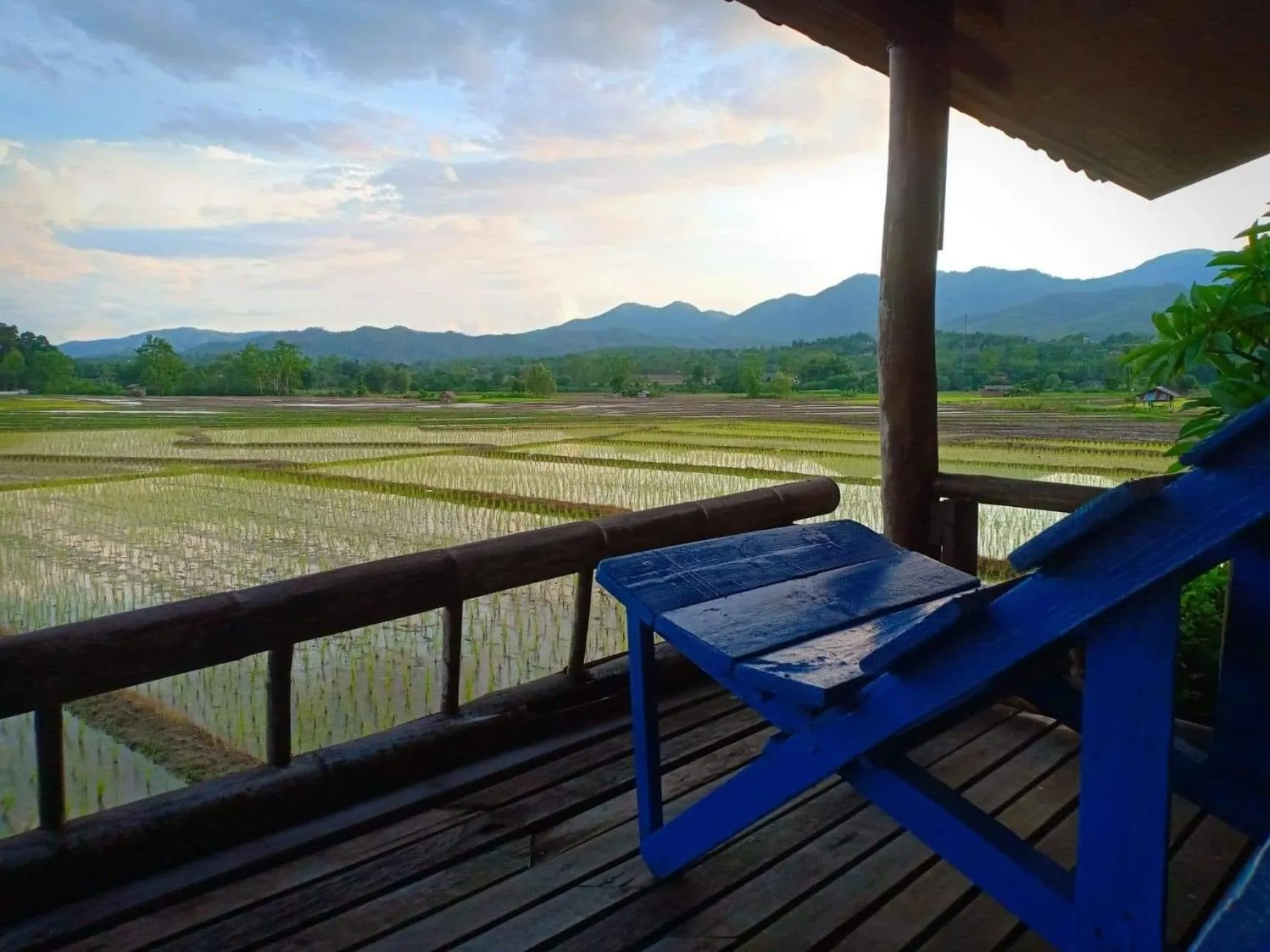 Bueng Pai Farm บึงปายฟาร์ม