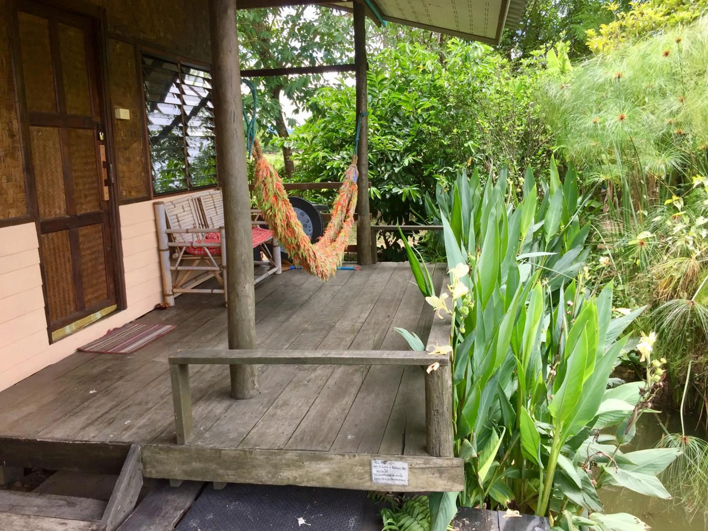 View (from property/room) in Bueng Pai Farm บึงปายฟาร์ม