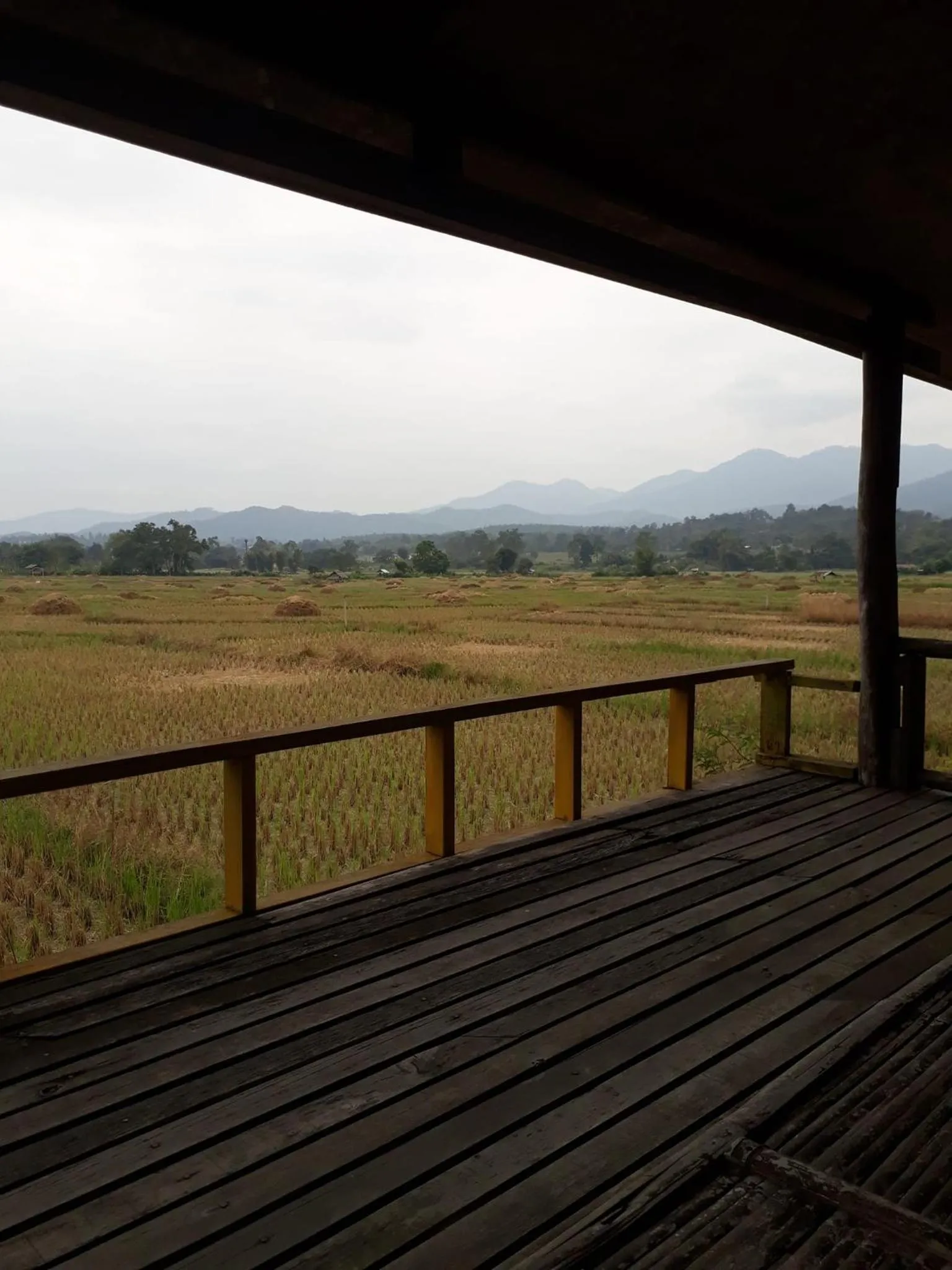 Bueng Pai Farm บึงปายฟาร์ม