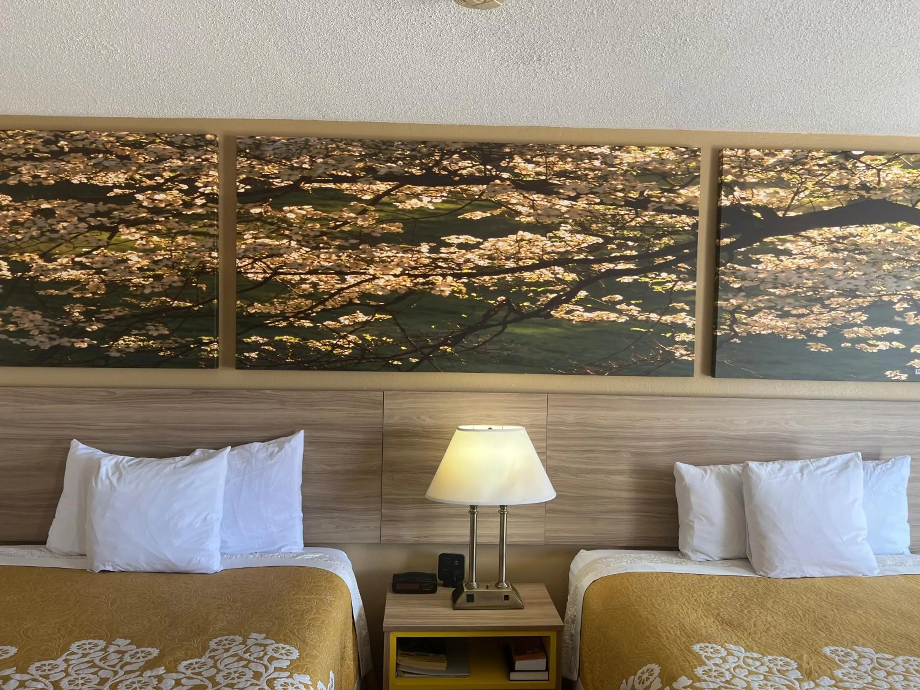 Bedroom, Bed in Days Inn by Wyndham Fort Wayne