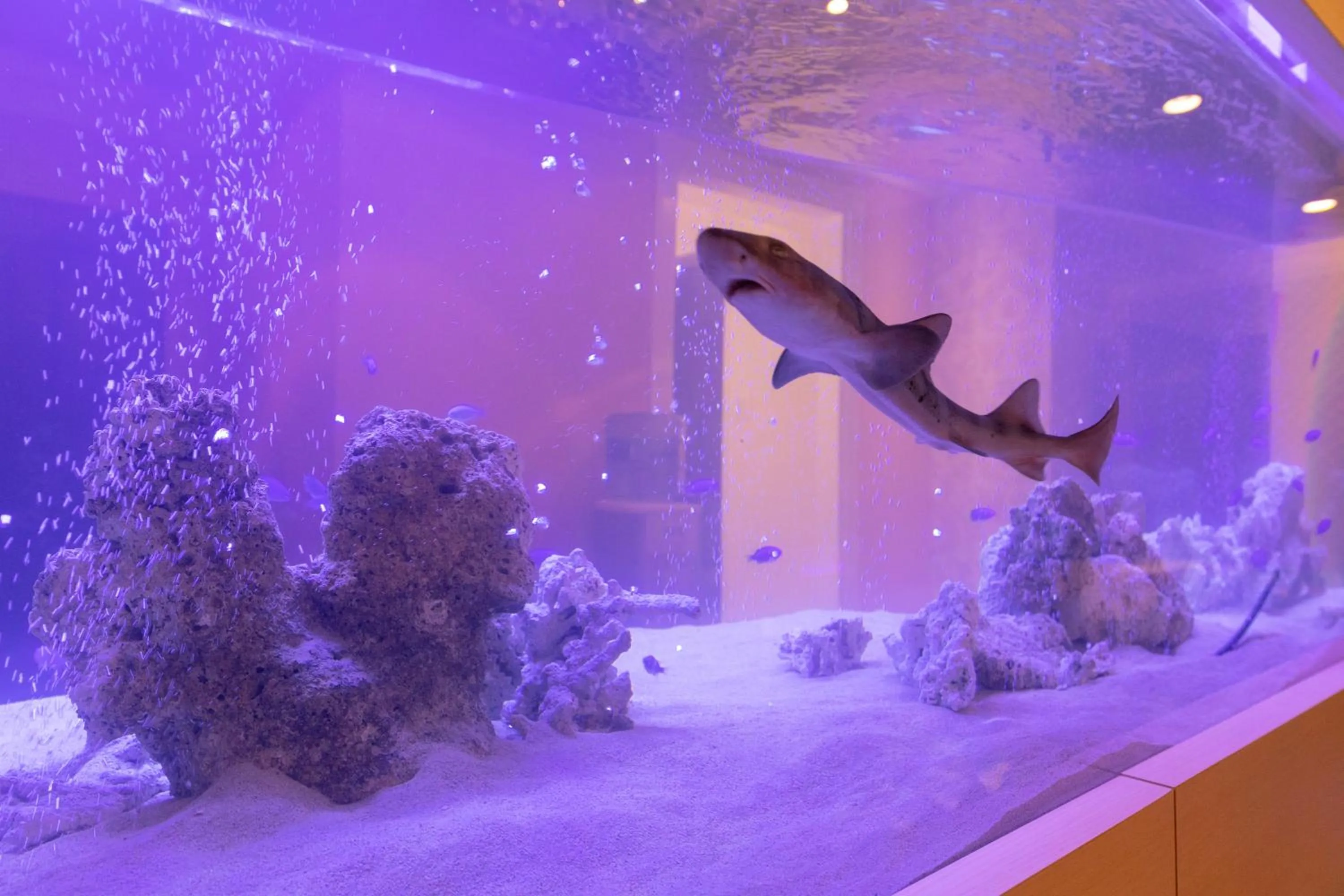 i RESORT ARTIA Luxury Gifu (Adult Only)