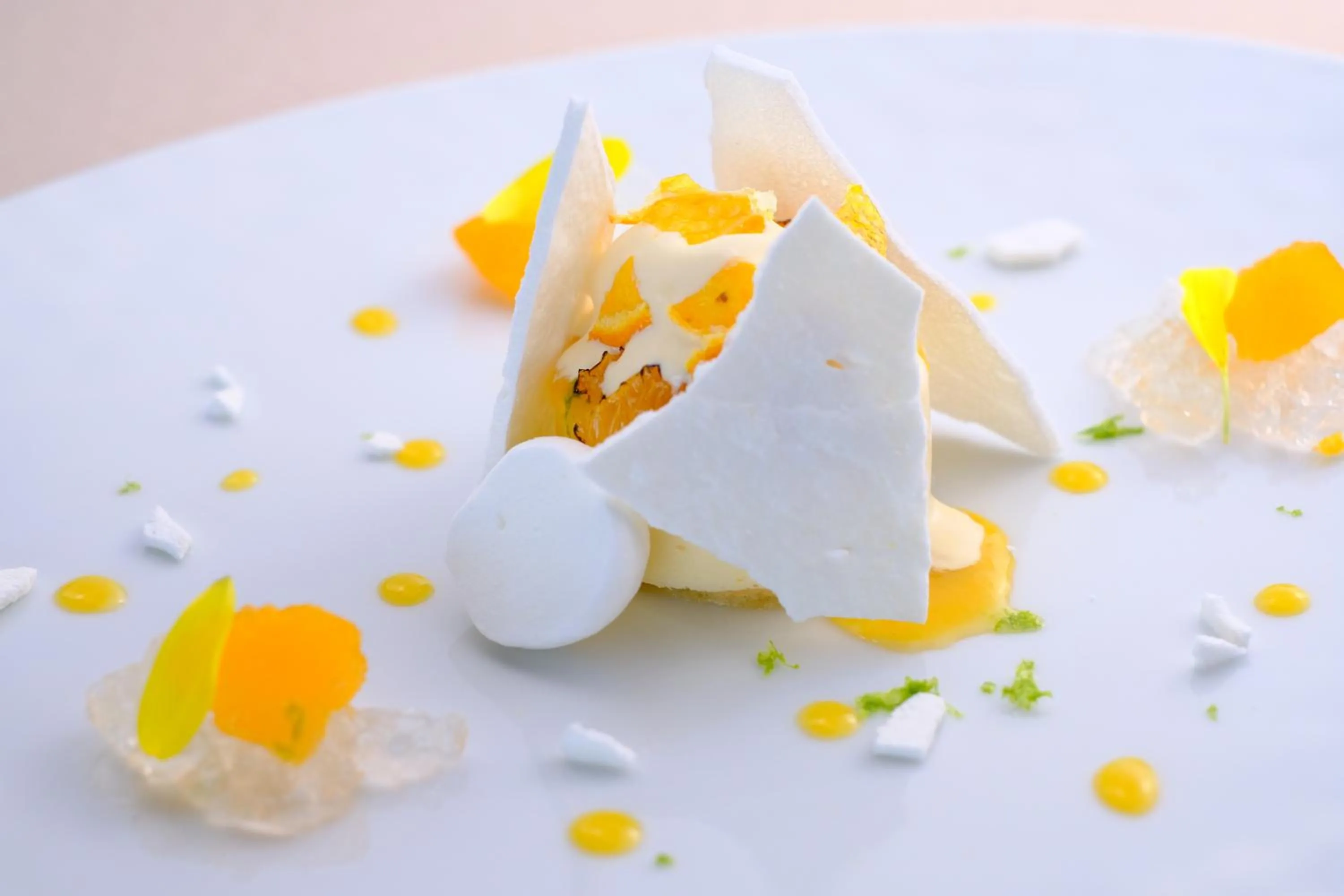 Meals in Sankara Hotel & Spa Yakushima