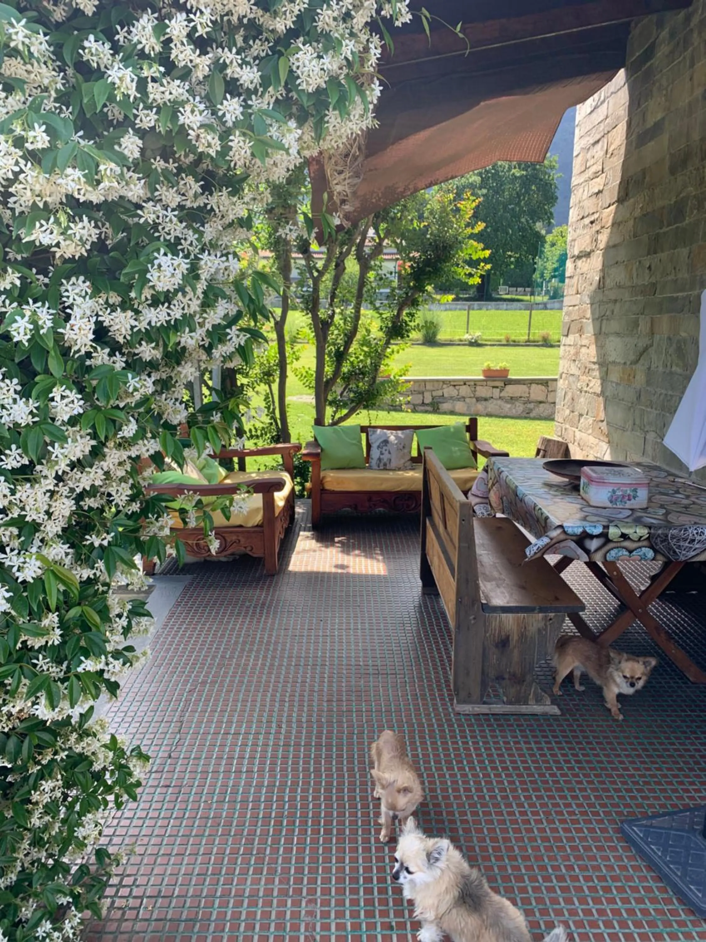 Patio in B&B Il tempo del sogno con cani e gatti Pet&Breakfast