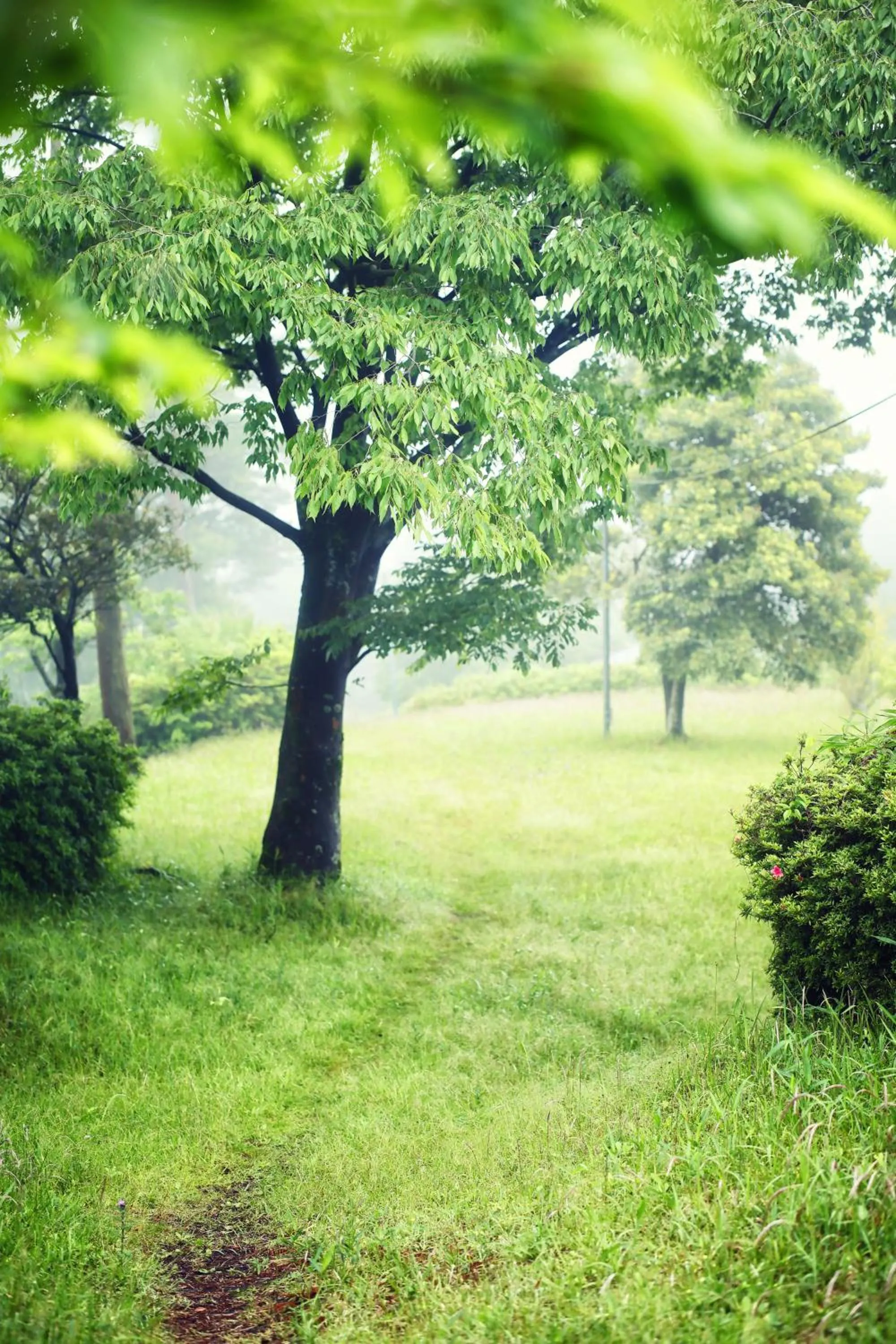 Garden in Active Resorts KIRISHIMA