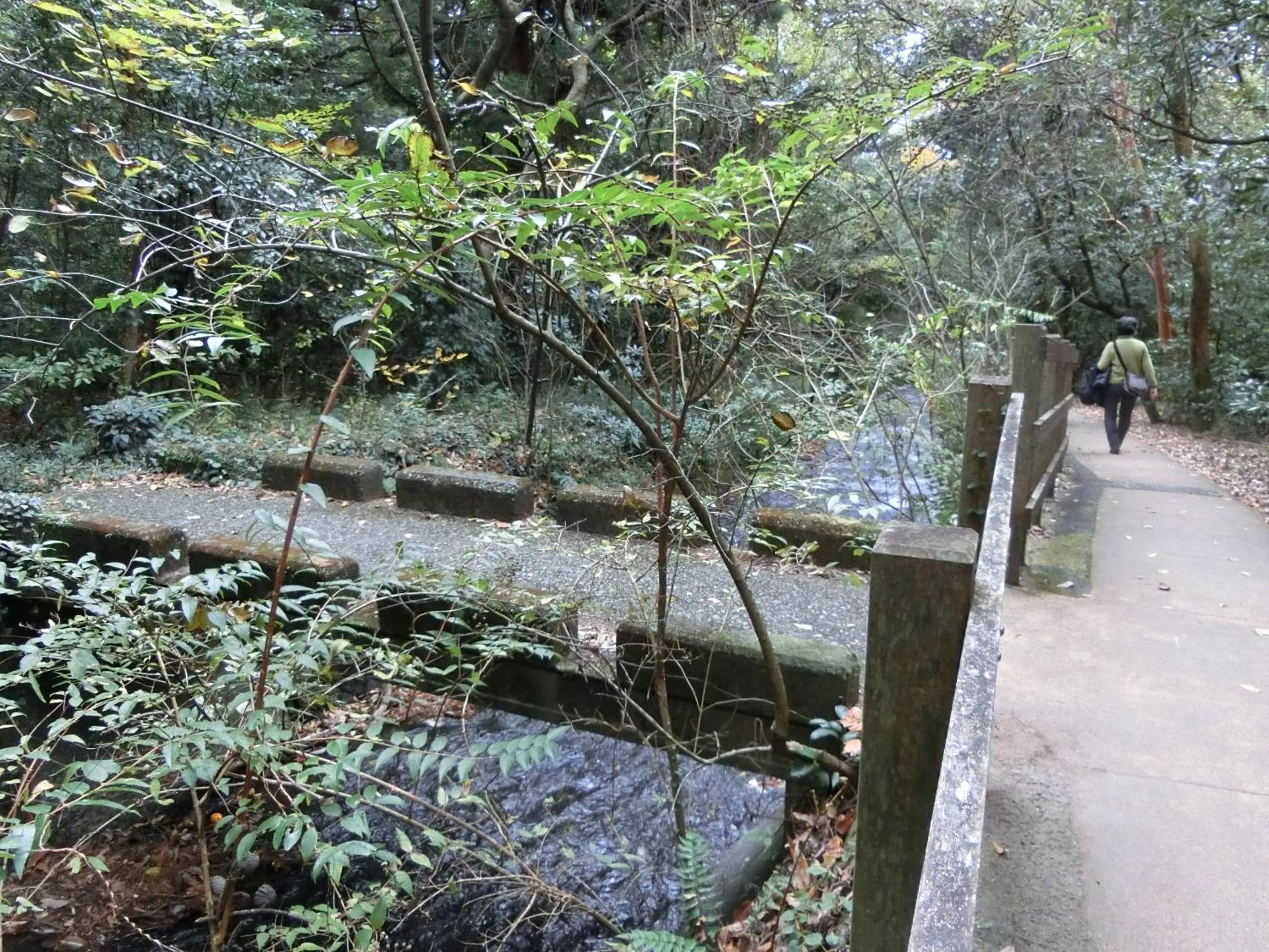Nearby landmark in Pension Izukogen