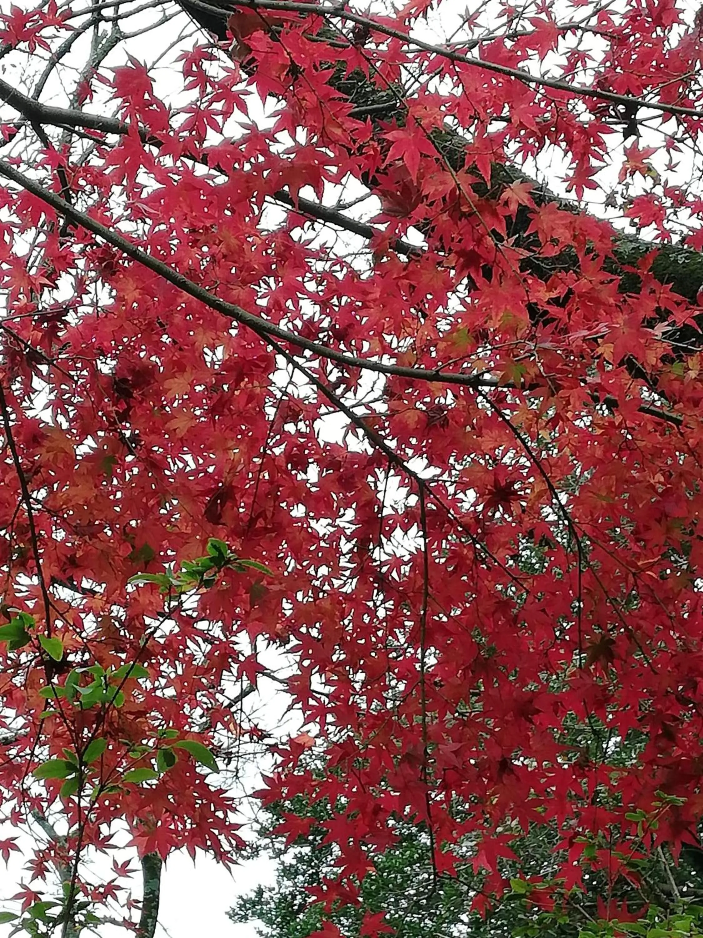 Off site in Pension Izukogen