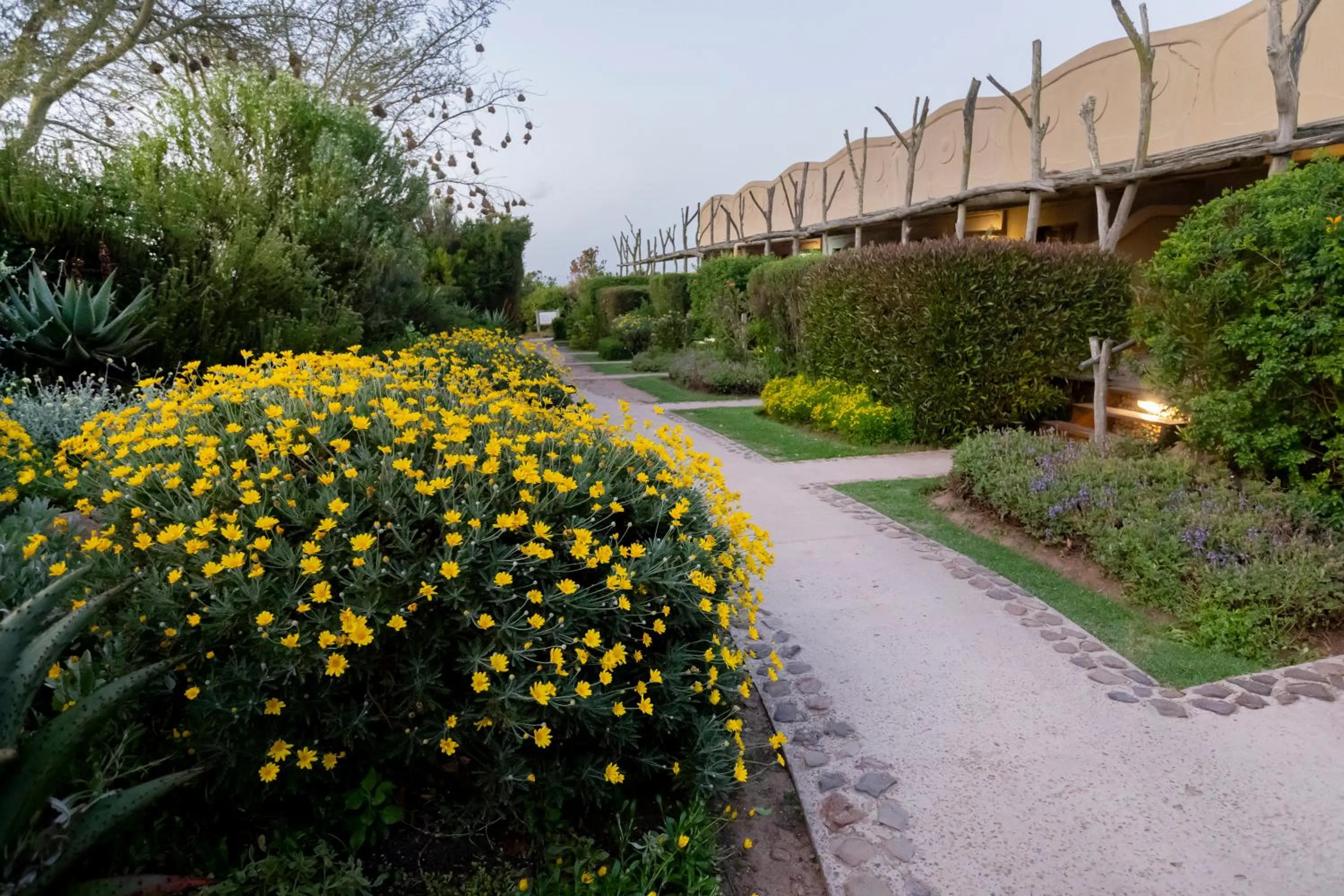 Garden in Garden Route Game Lodge