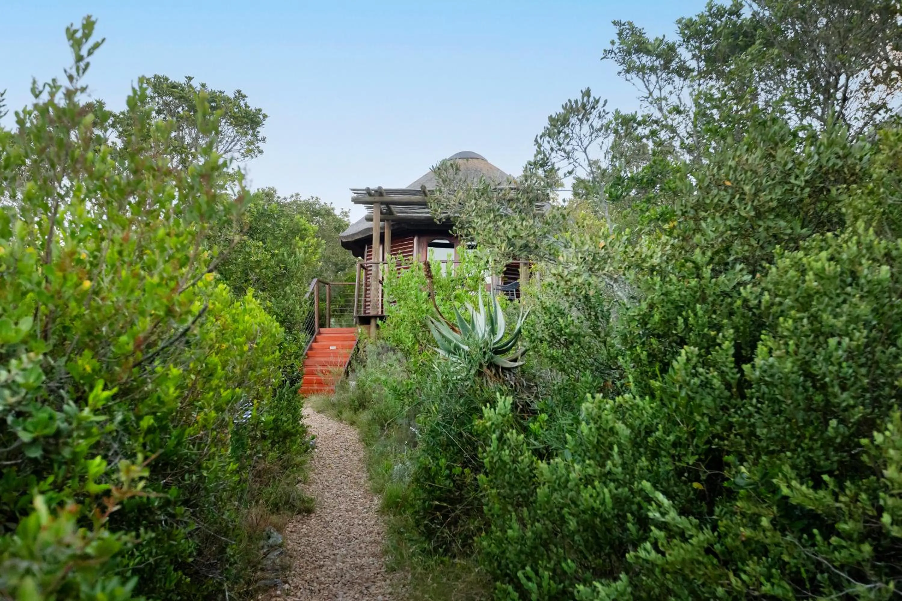 Property building in Garden Route Game Lodge