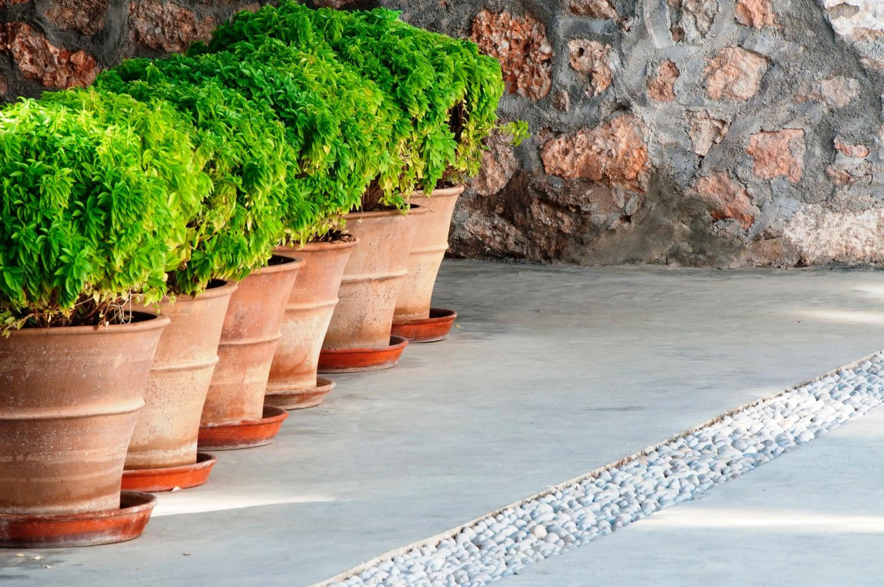 Decorative detail in Orloff Resort