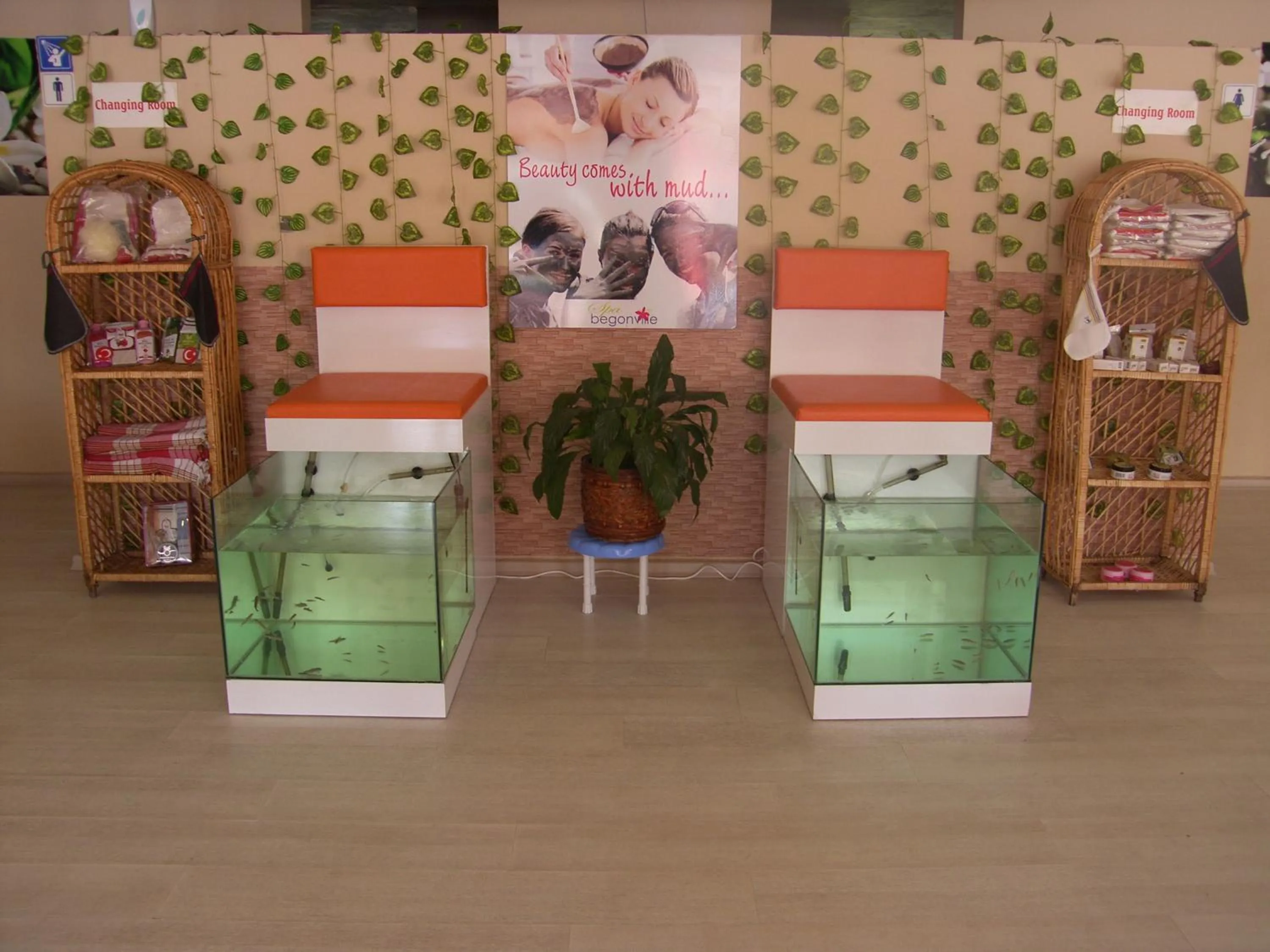 Other in Begonville Hotel