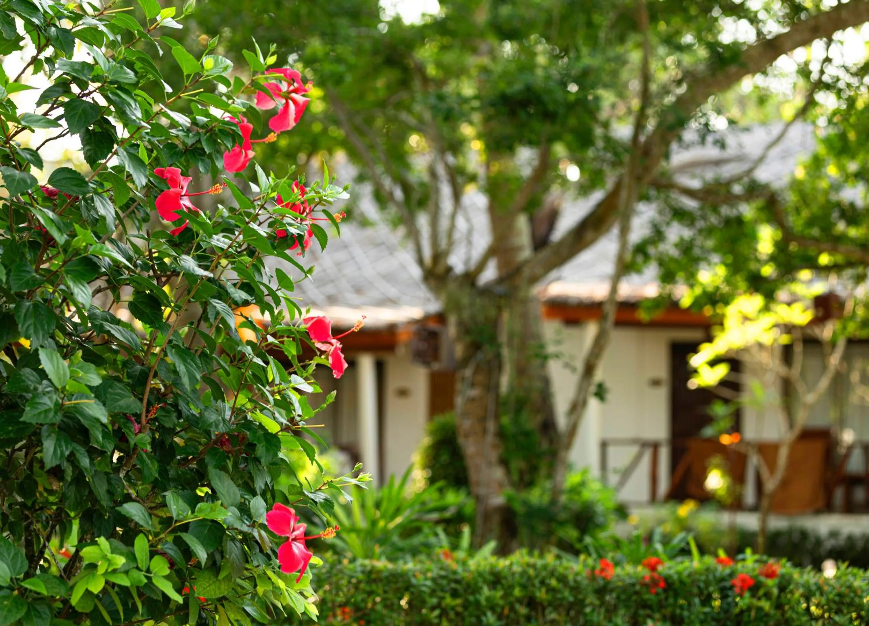 Property building in Lipa Lodge Beach Resort