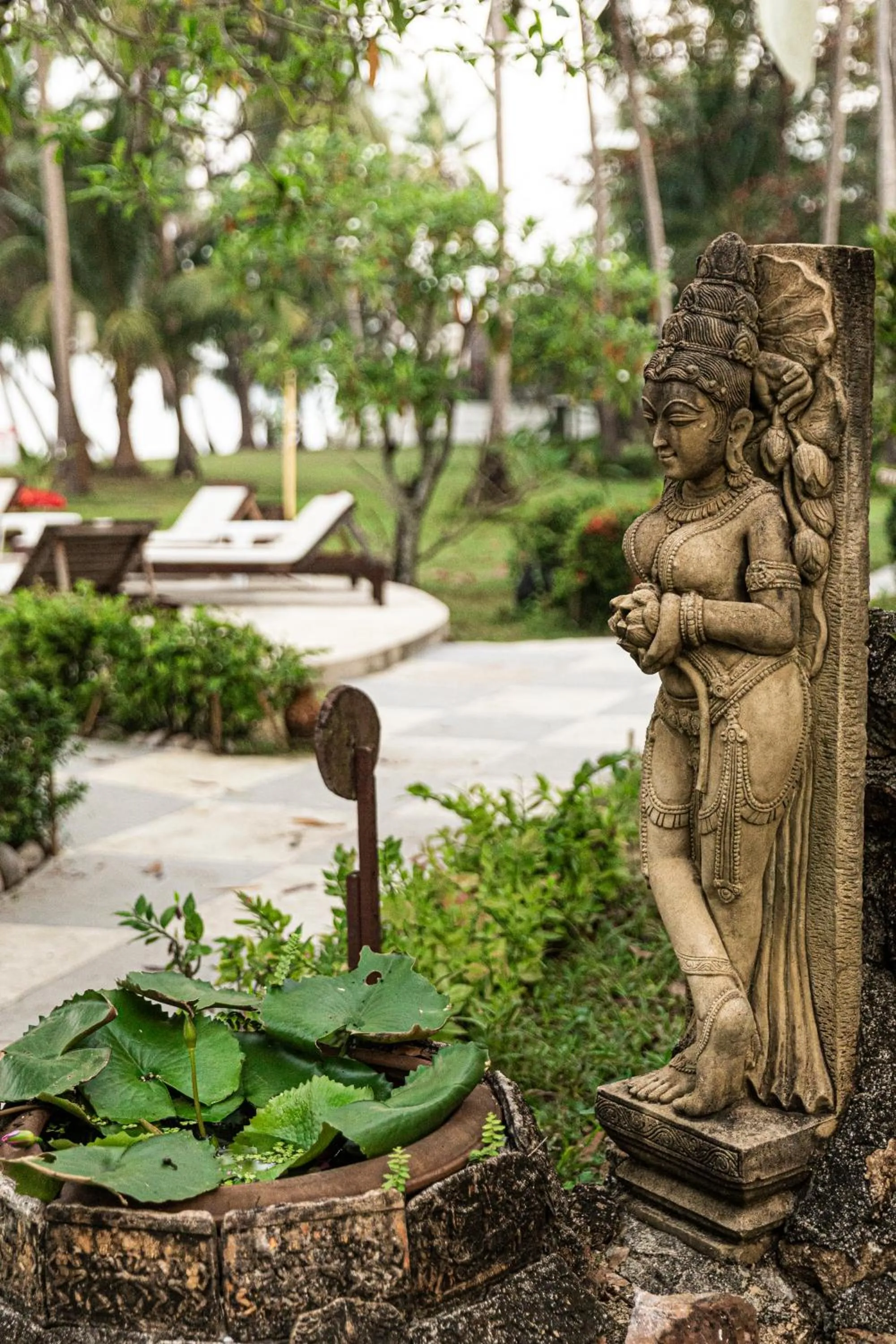 Lipa Lodge Beach Resort