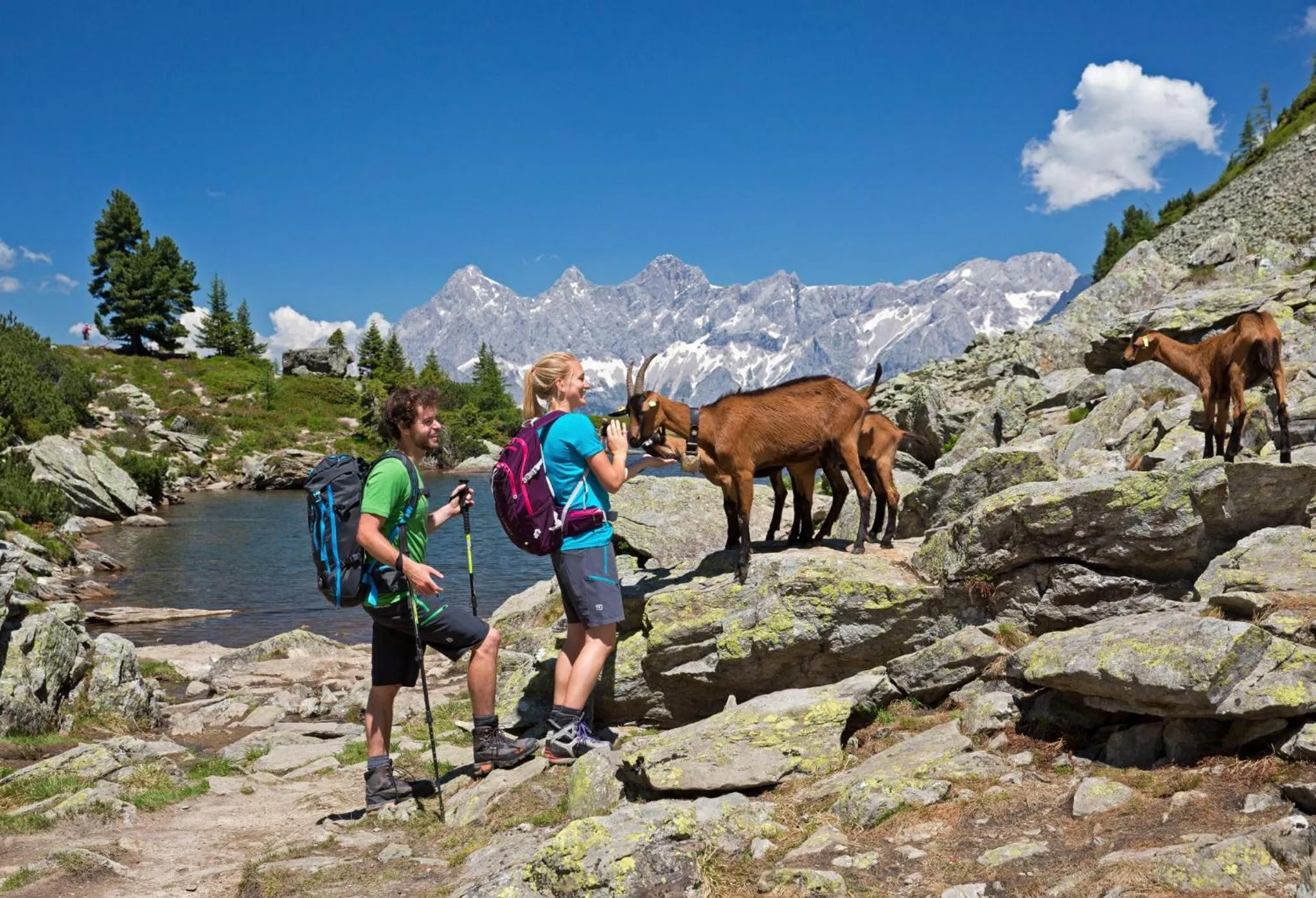 Hiking in Ridehouse