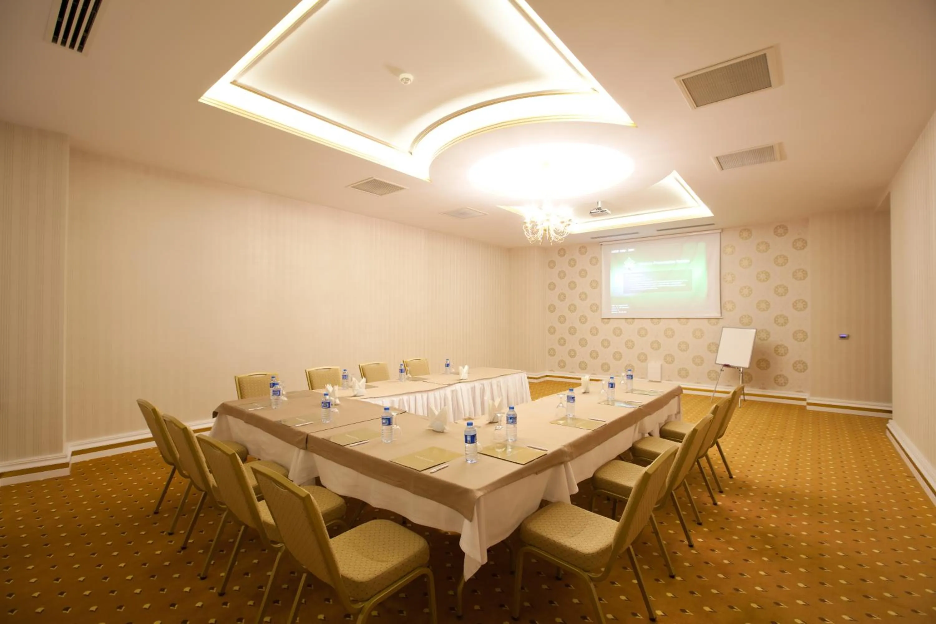 Meeting/conference room in Grand Altuntas Hotel