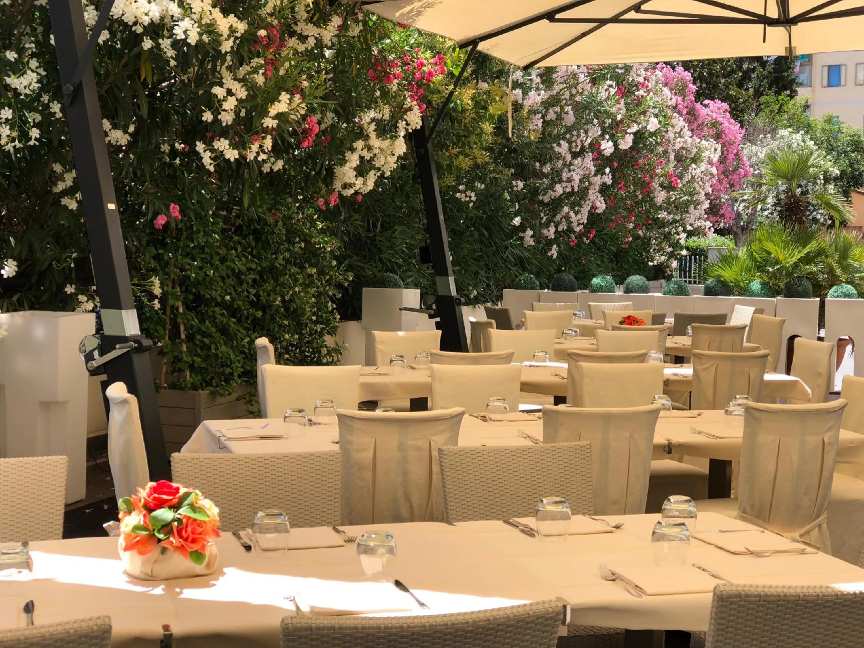 Restaurant/places to eat in Hotel Airone - Ombrellone incluso al bagno Dolce Vita a Marina dal 1 giugno al 28 settembre