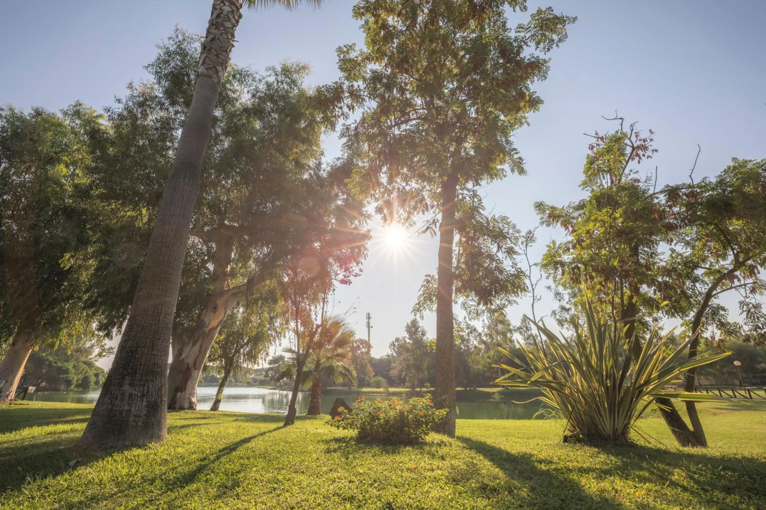 Garden in TH Marina di Sibari - Baia Degli Achei Village