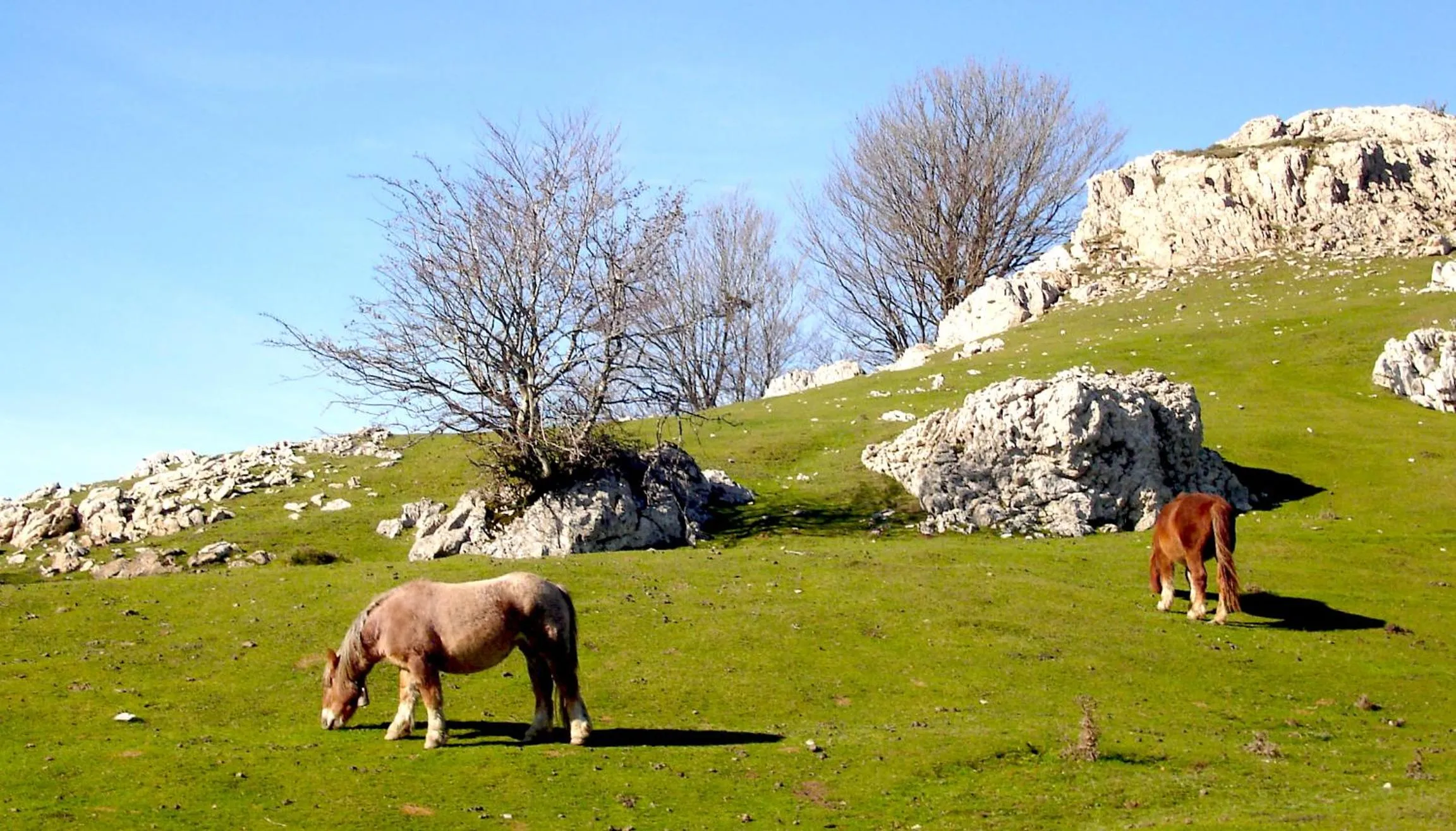 Natural landscape in Hôtel Berria par La Maison de Pierre