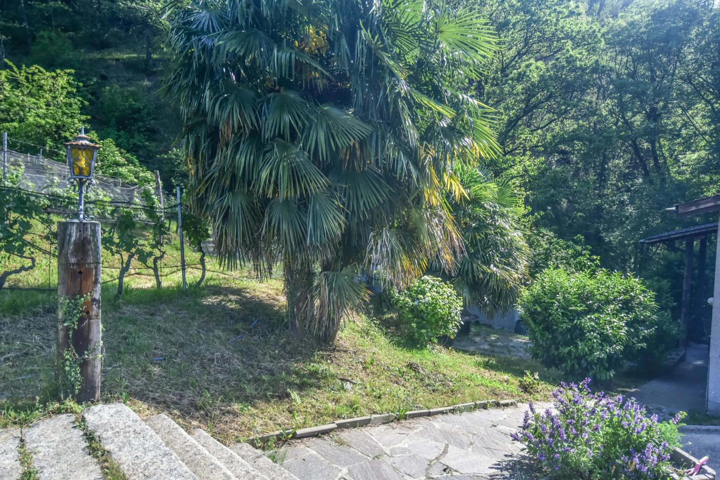 Natural landscape in Viva Bacco