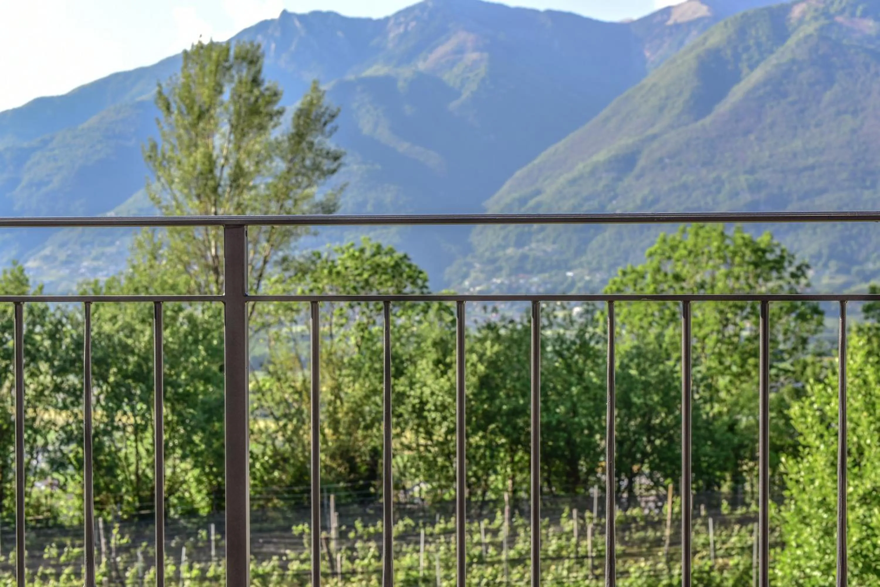 Natural landscape in Viva Bacco