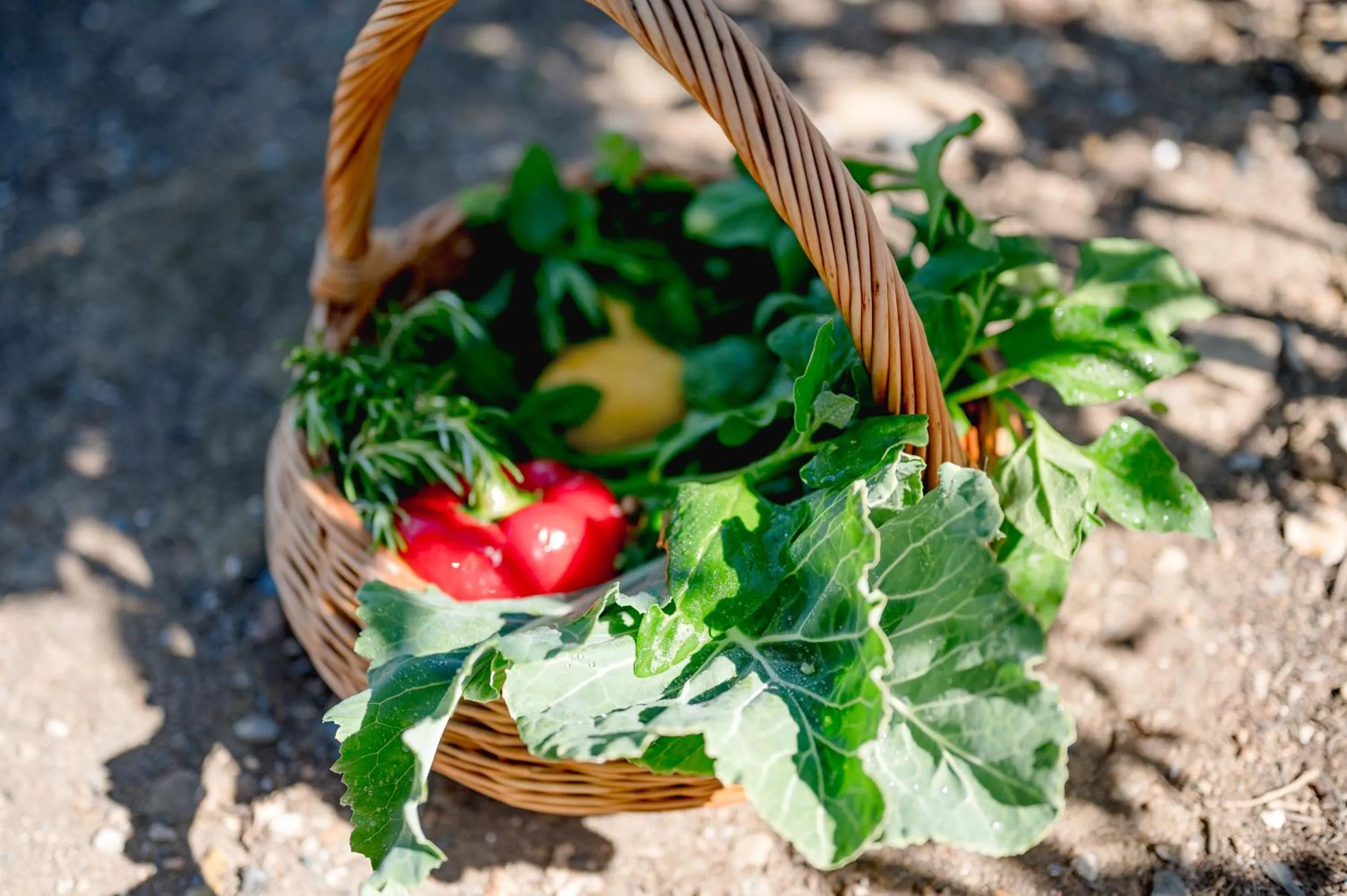 Monte Gois Country House e Spa