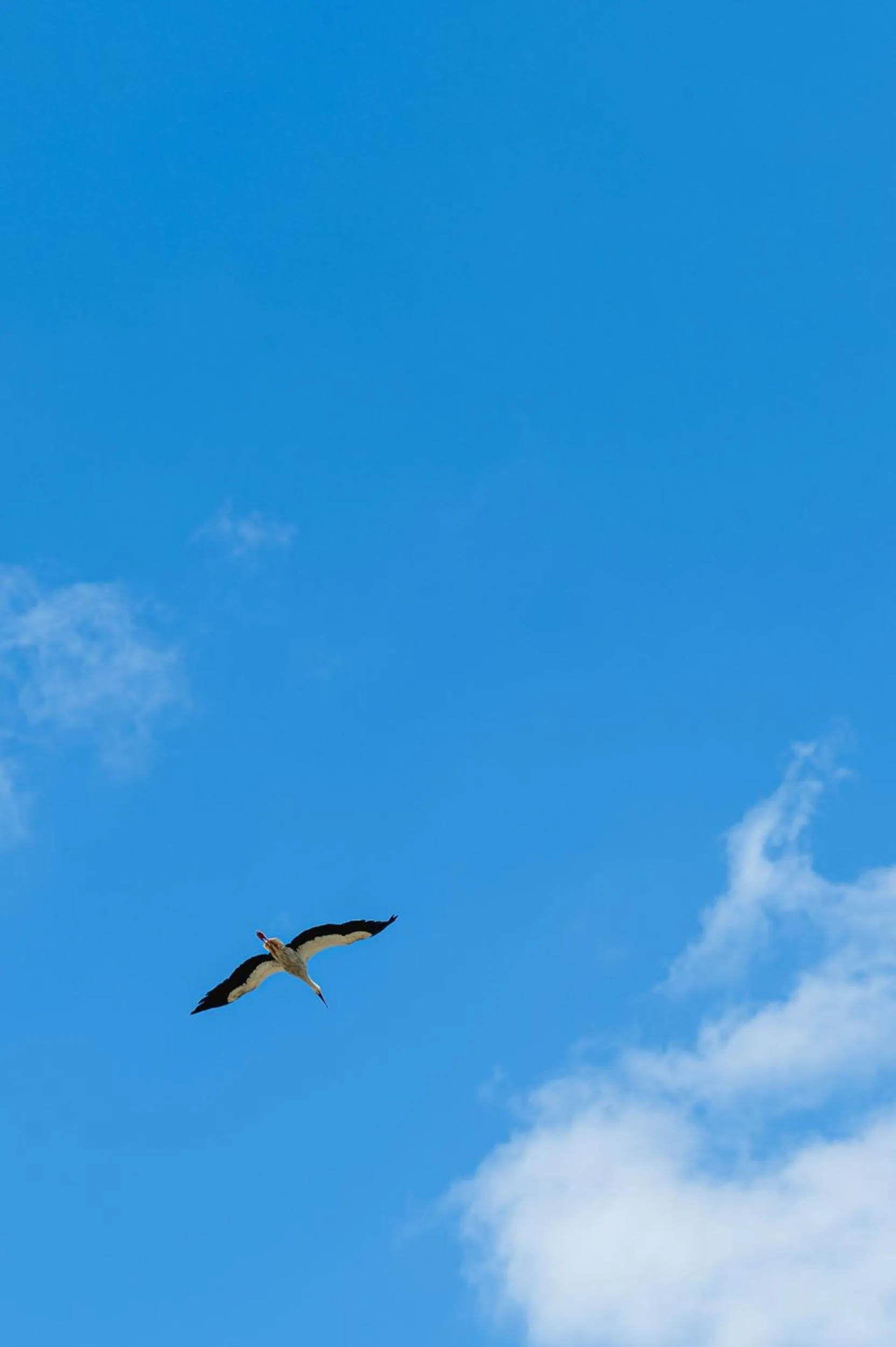 Monte Gois Country House e Spa