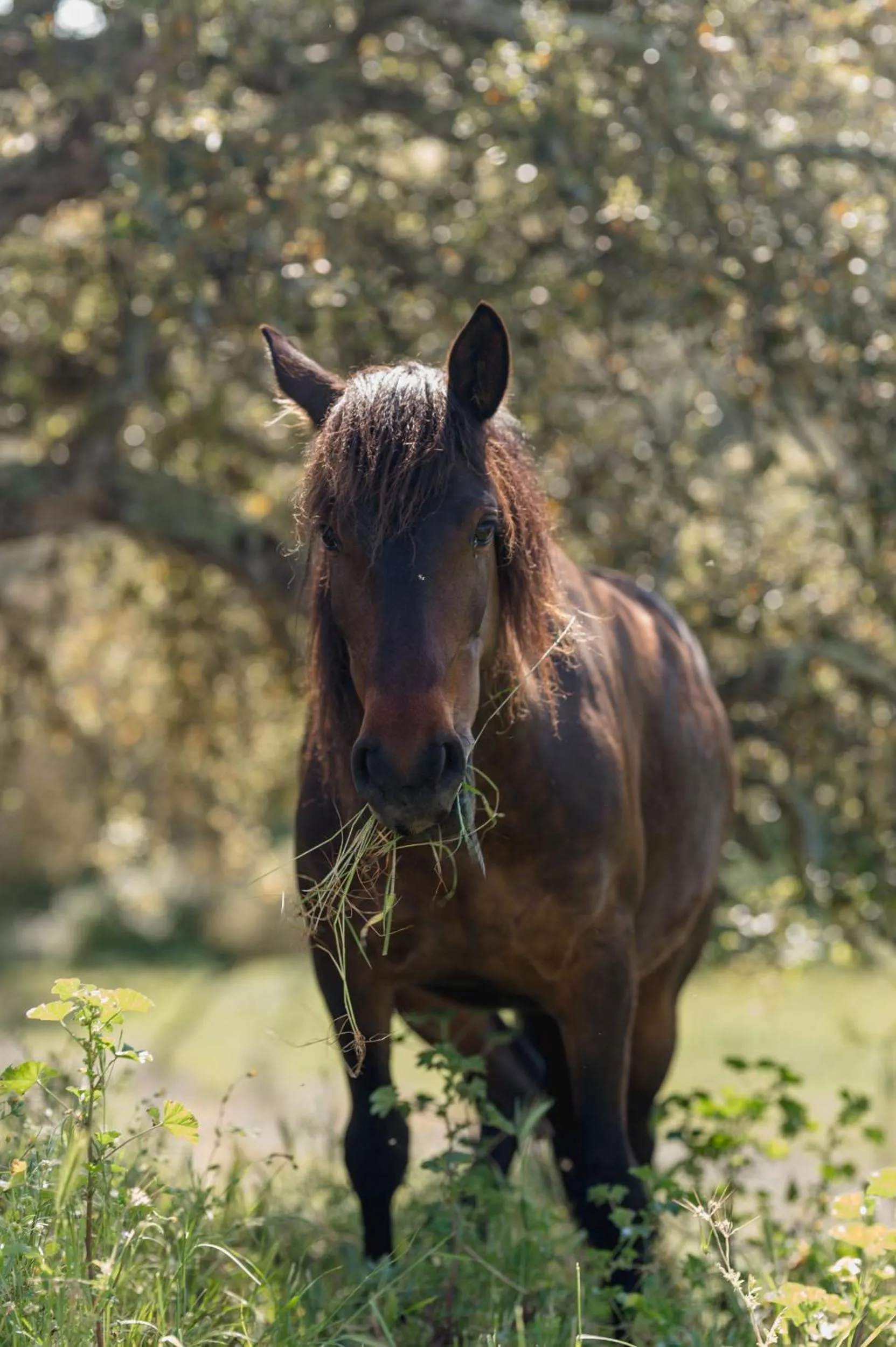 Monte Gois Country House e Spa