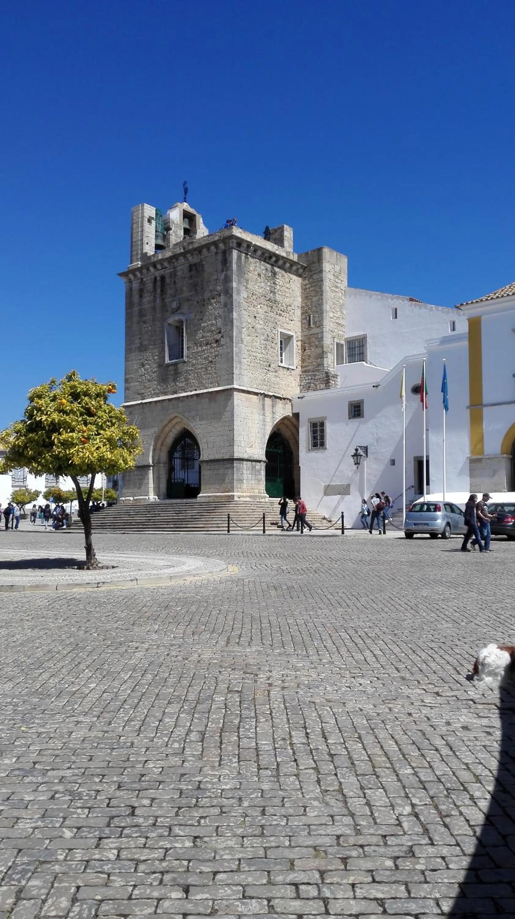 Neighbourhood in Residencial Condado