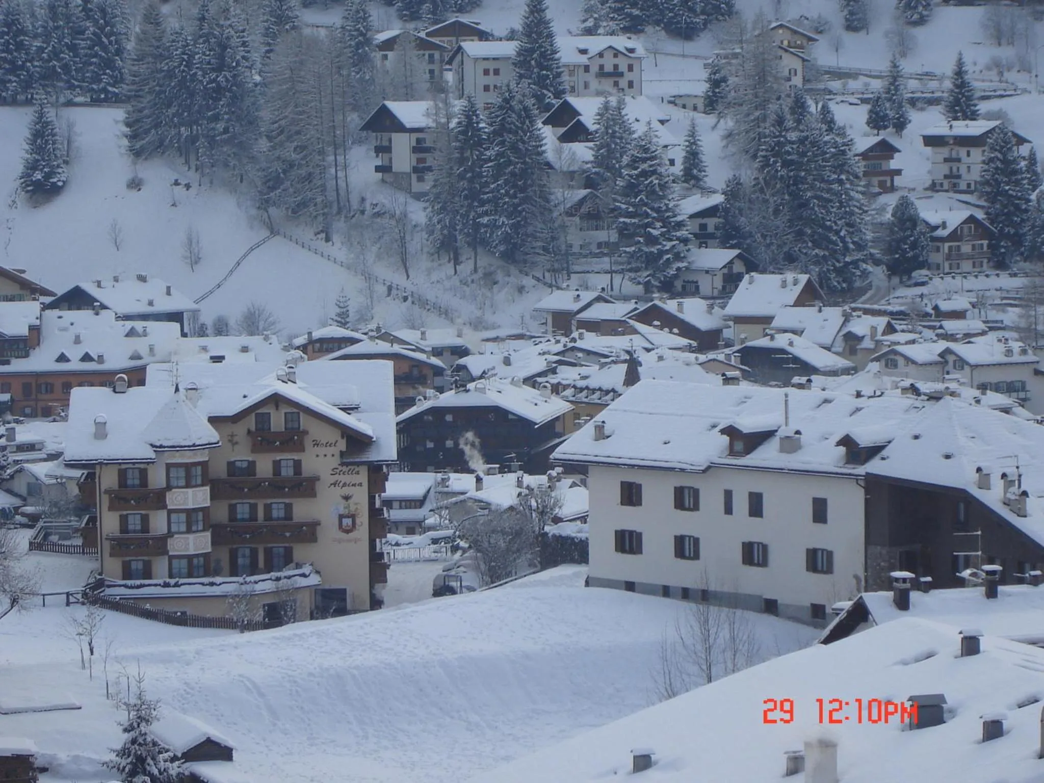Facade/entrance in Hotel Stella Alpina