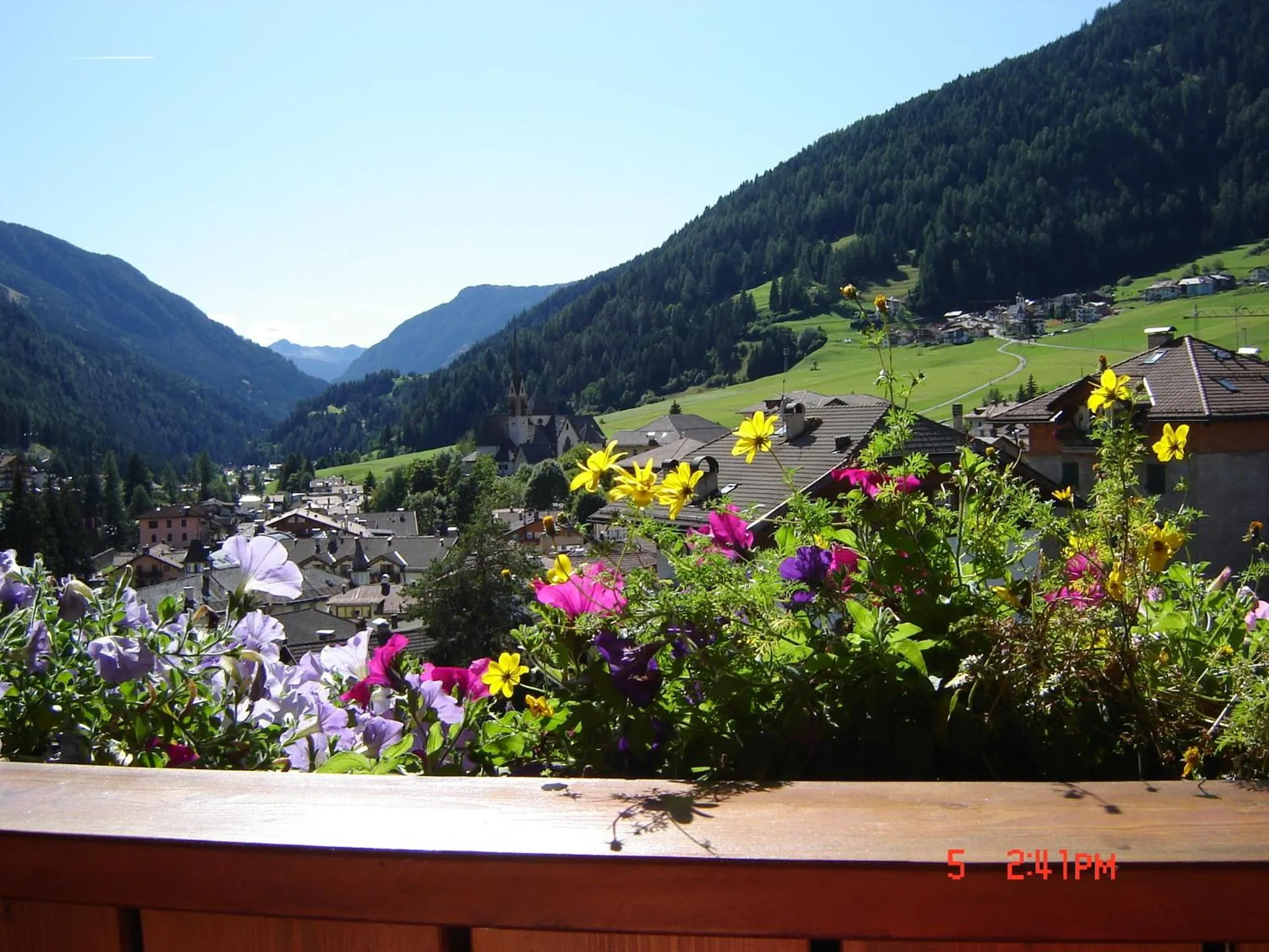 View (from property/room) in Hotel Stella Alpina