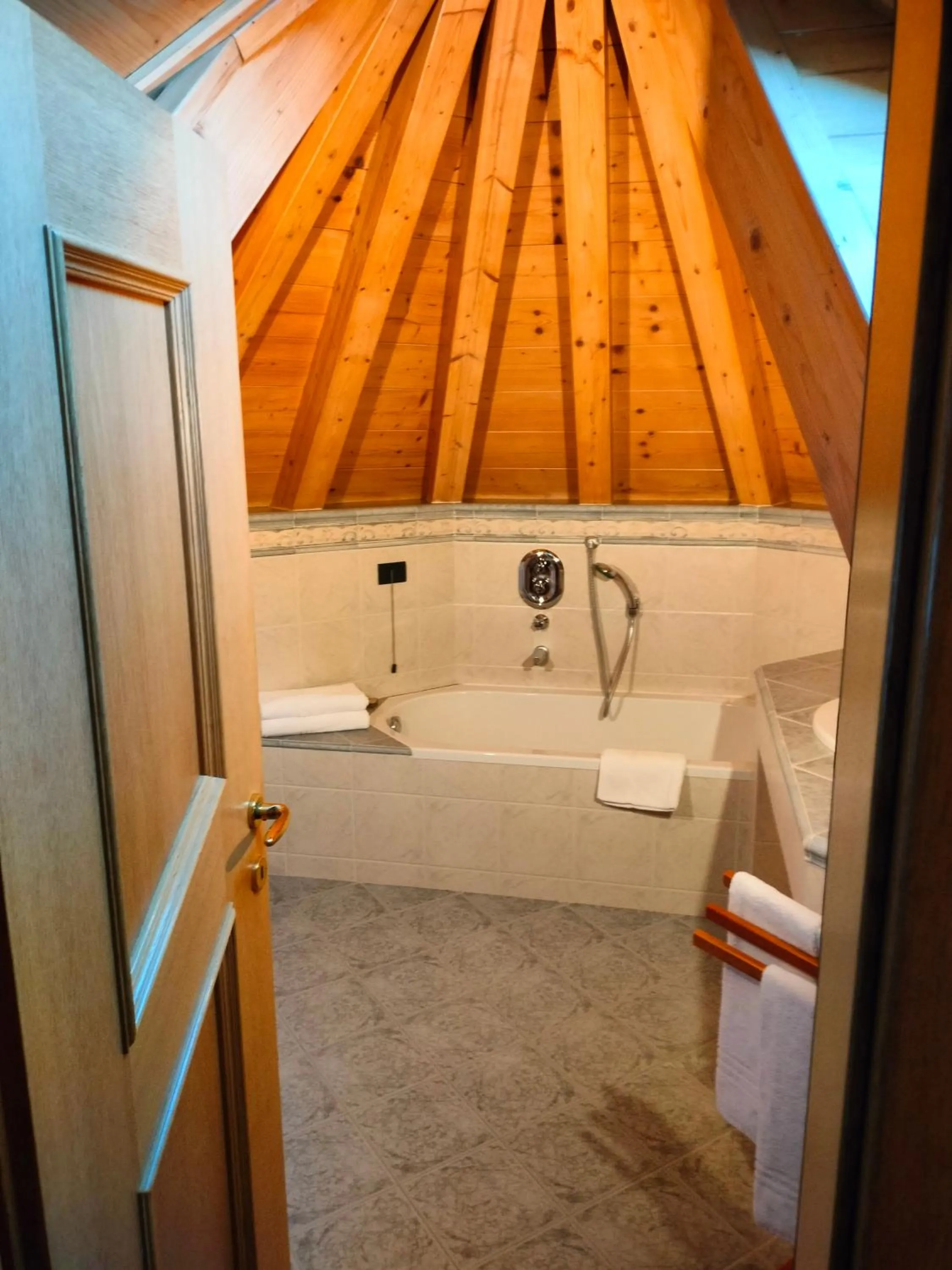 Shower in Hotel Stella Alpina