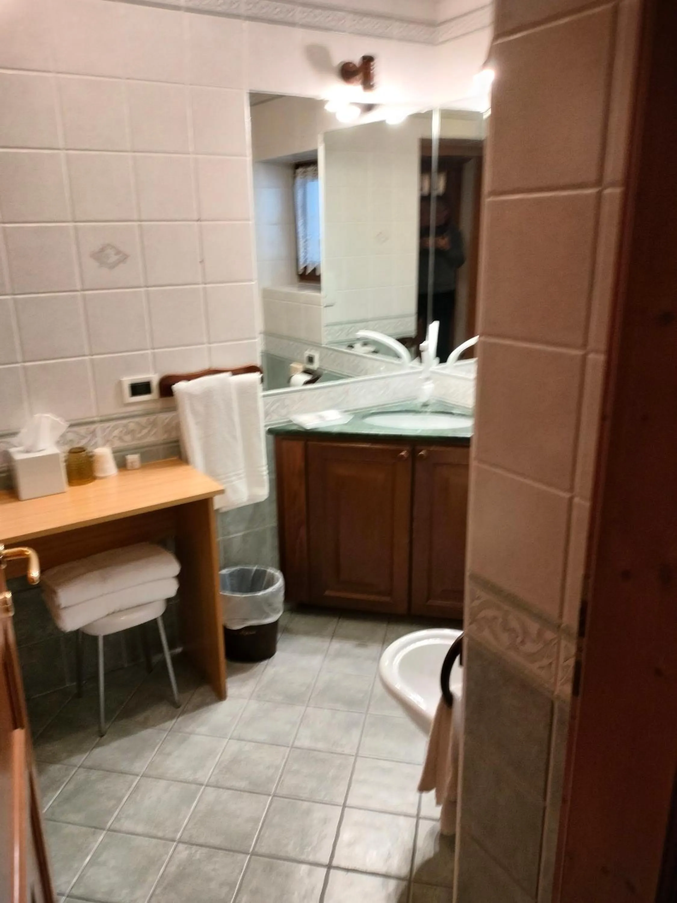 Bathroom in Hotel Stella Alpina