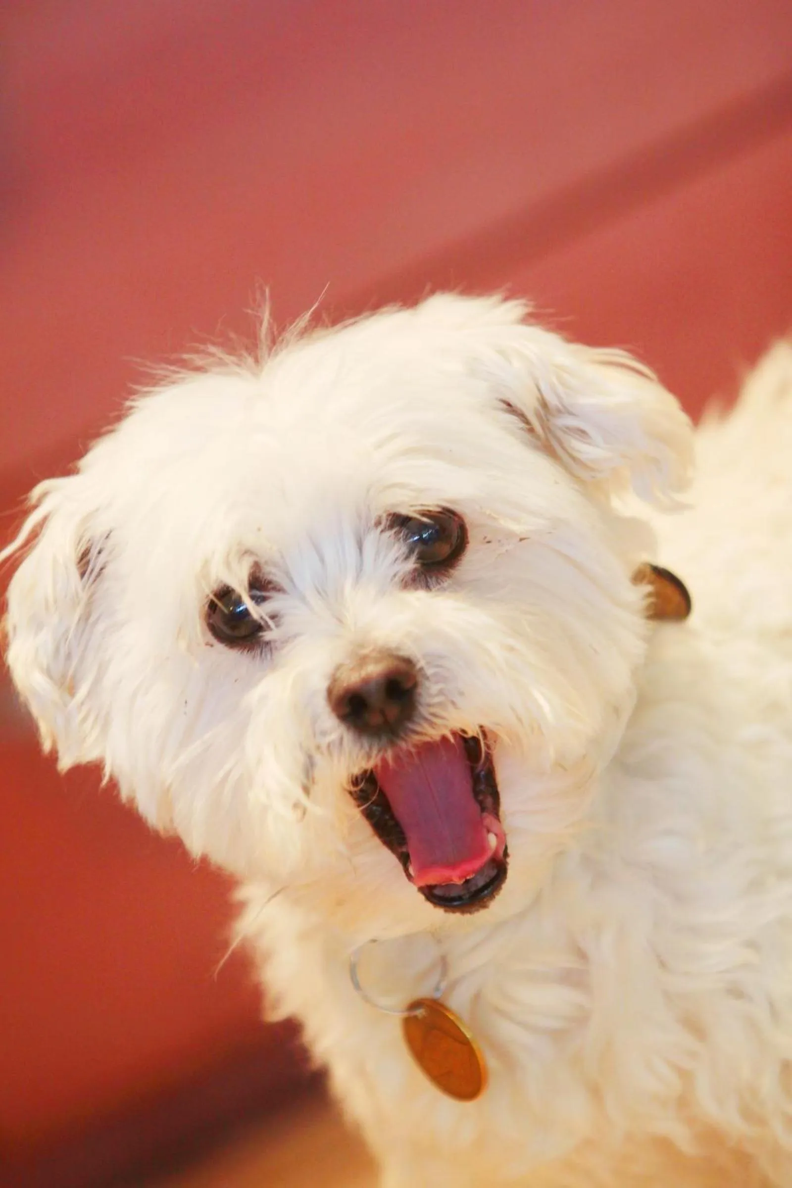 People in Hotel-Gasthof Restaurant Murblick