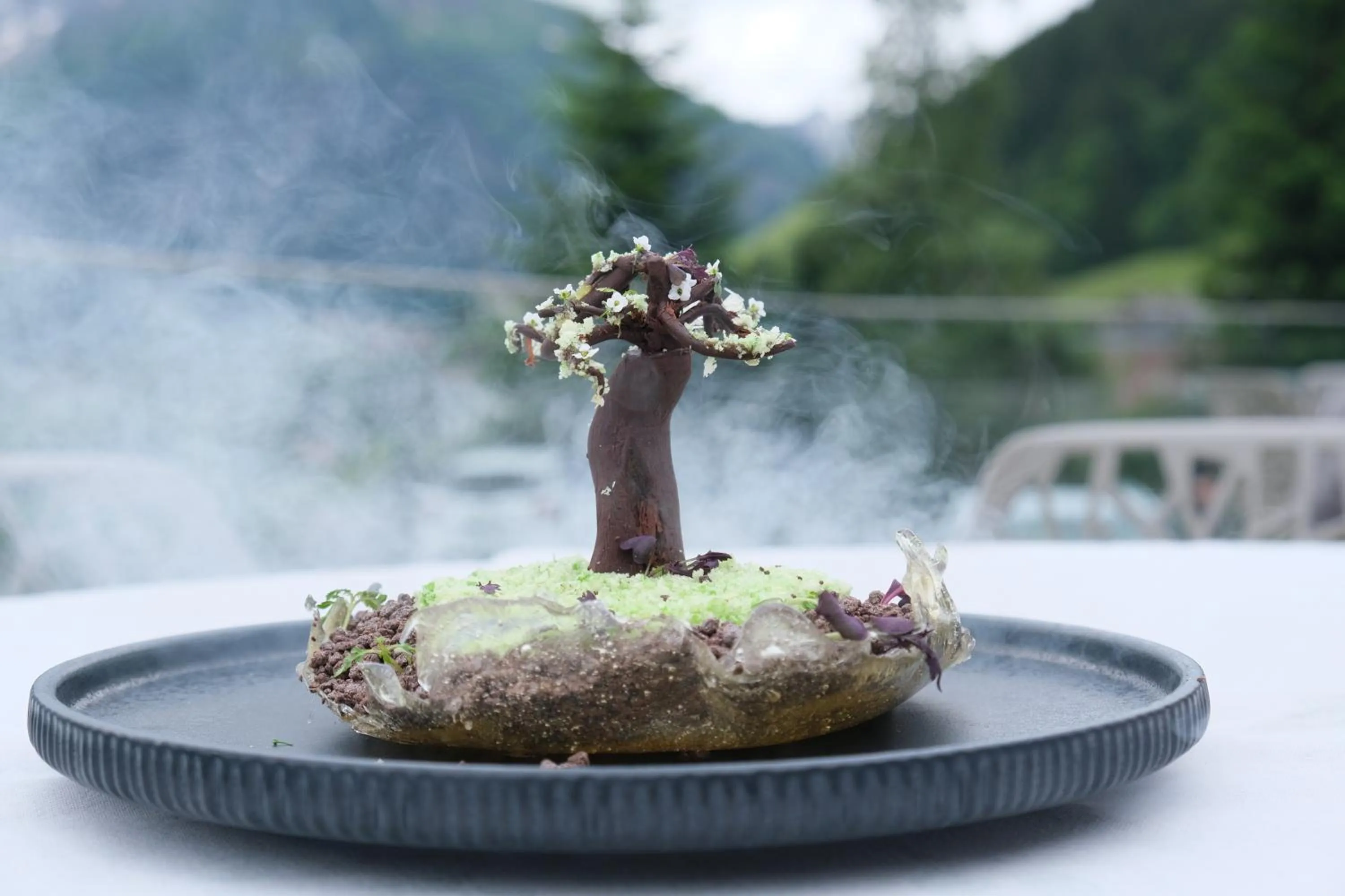 Restaurant/places to eat in Haller's Geniesserhotel