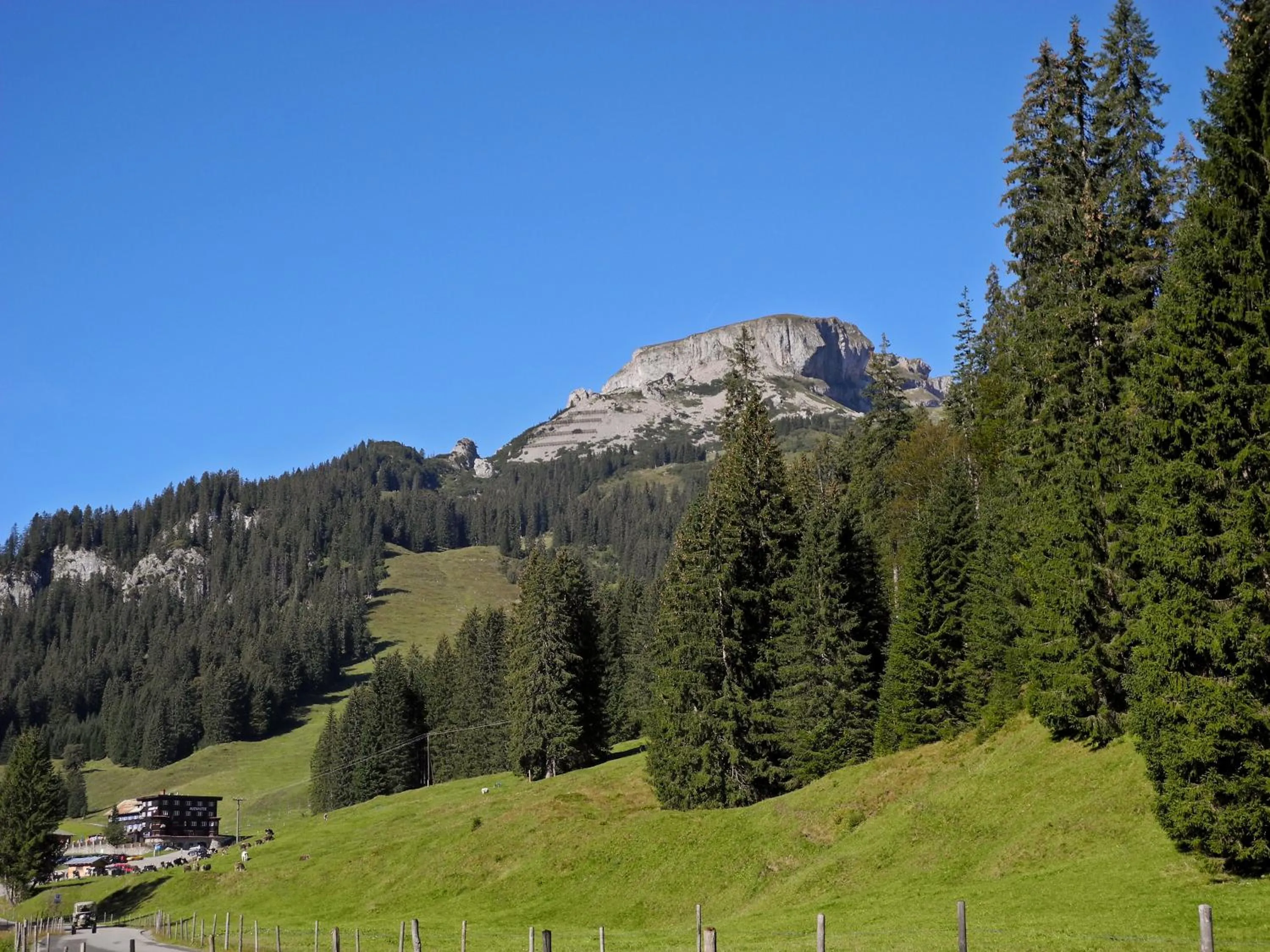 Area and facilities in Haller's Geniesserhotel