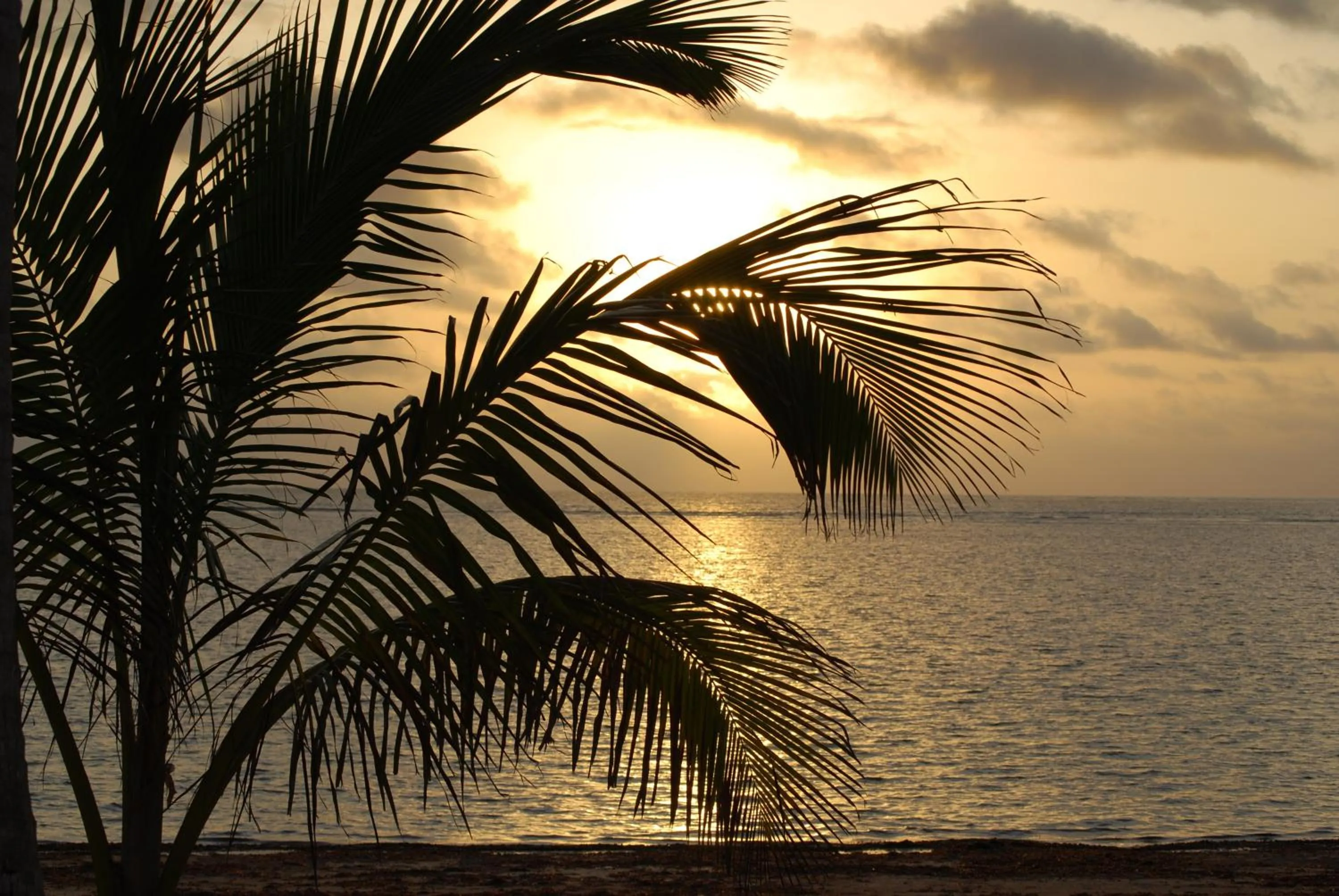 Beach in Kilili Baharini Resort & Spa