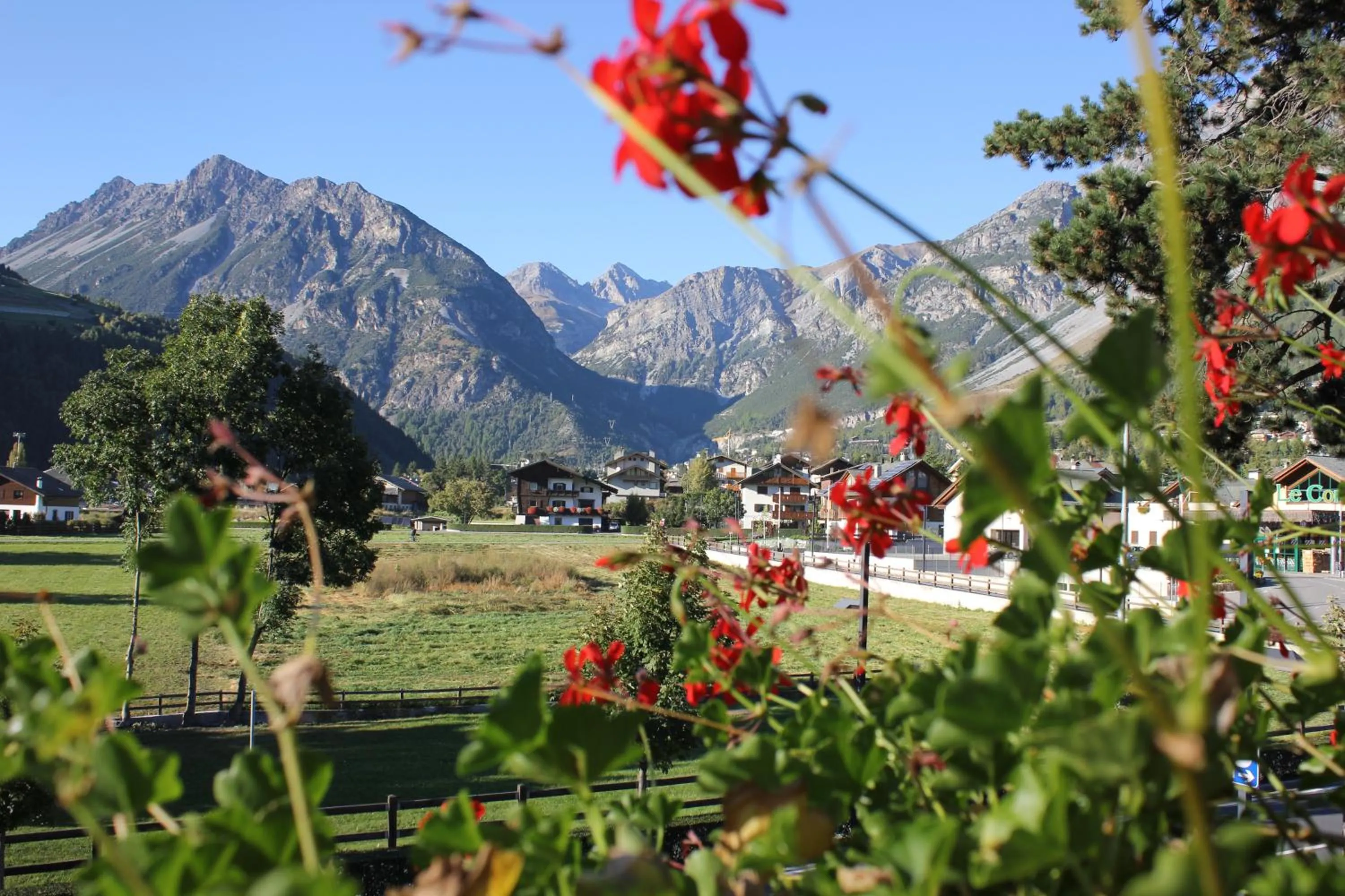 View (from property/room) in Hotel Villa Rina