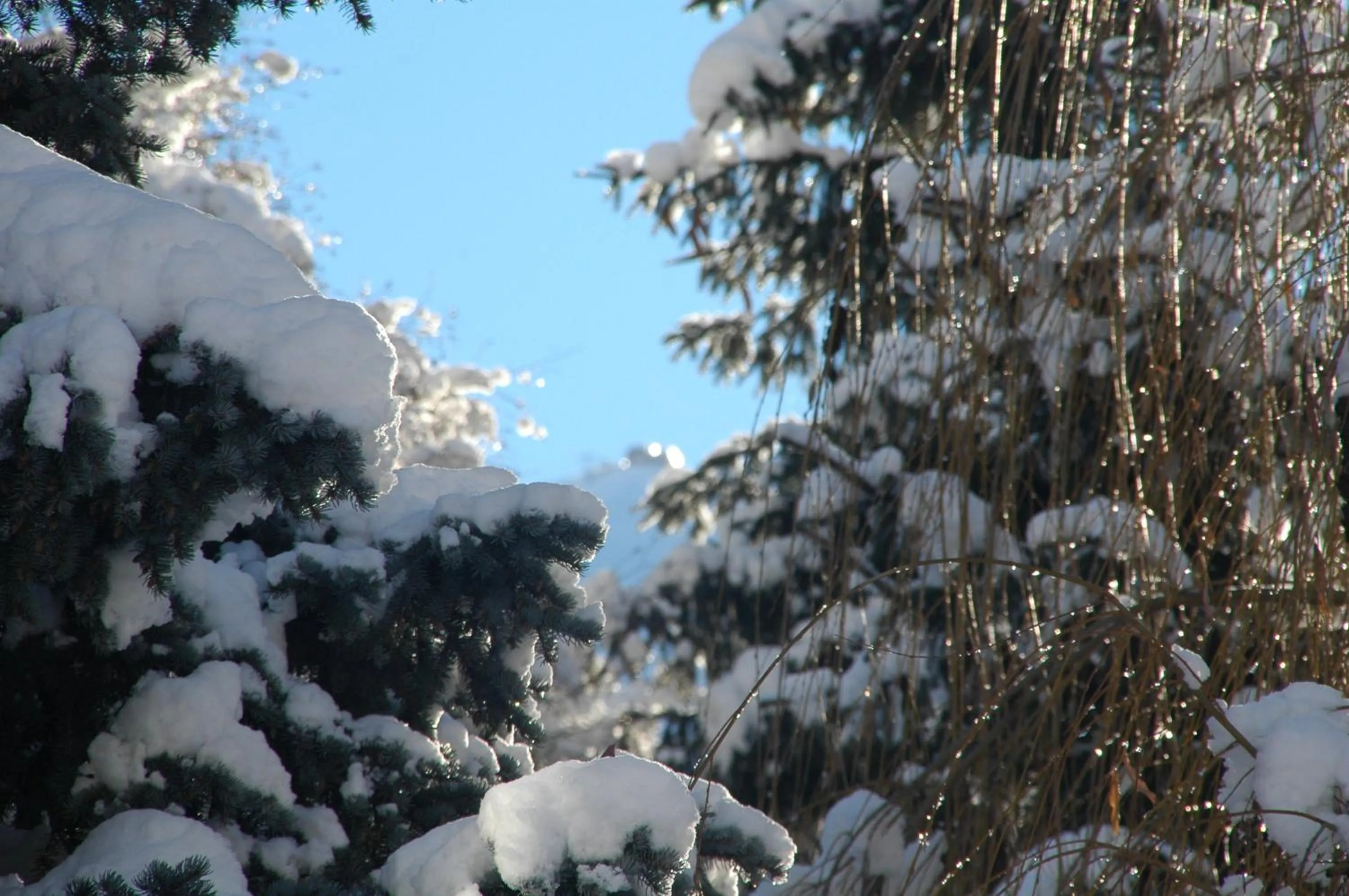 Other in Hotel Vallecetta