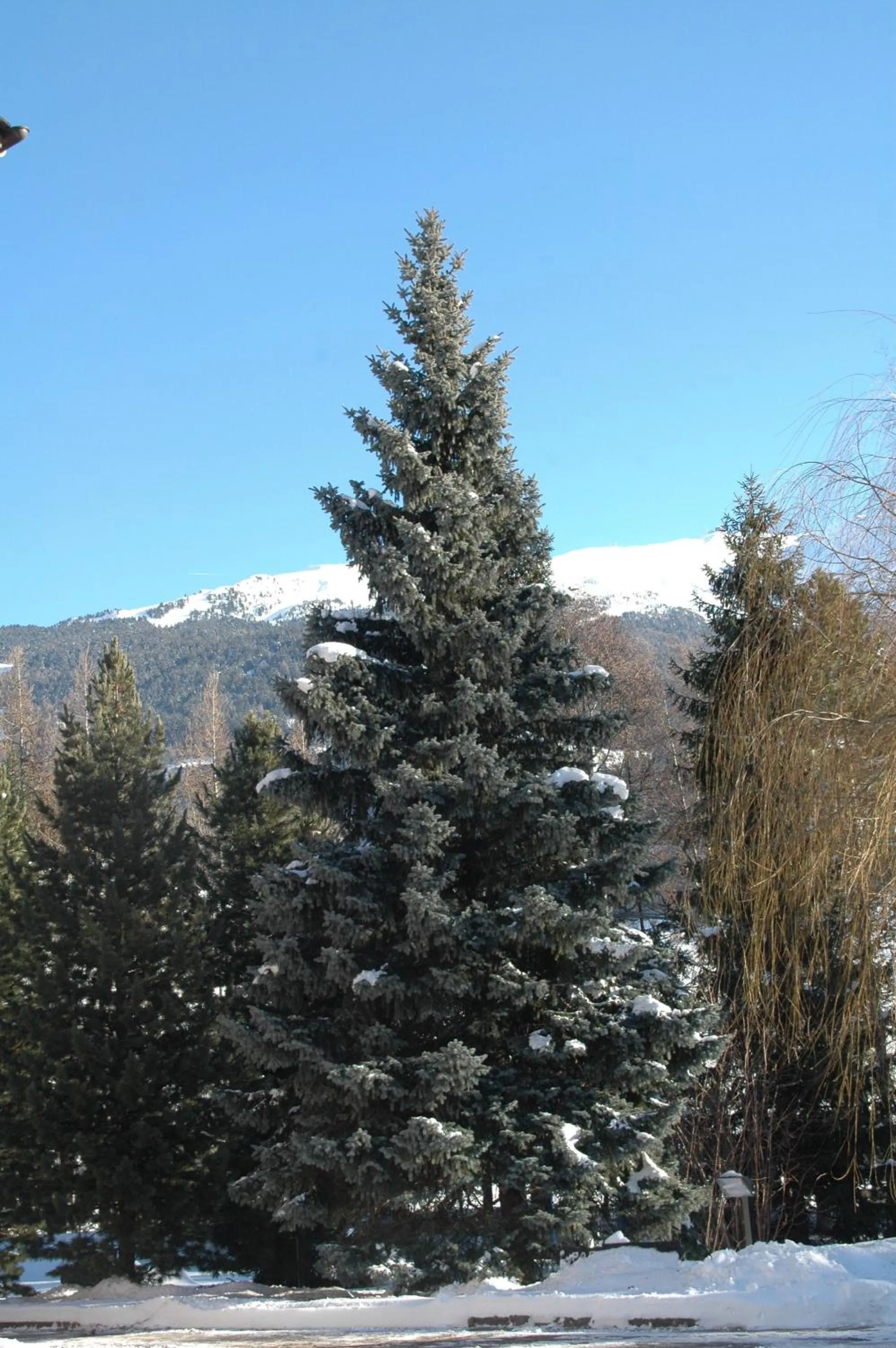 Other in Hotel Vallecetta