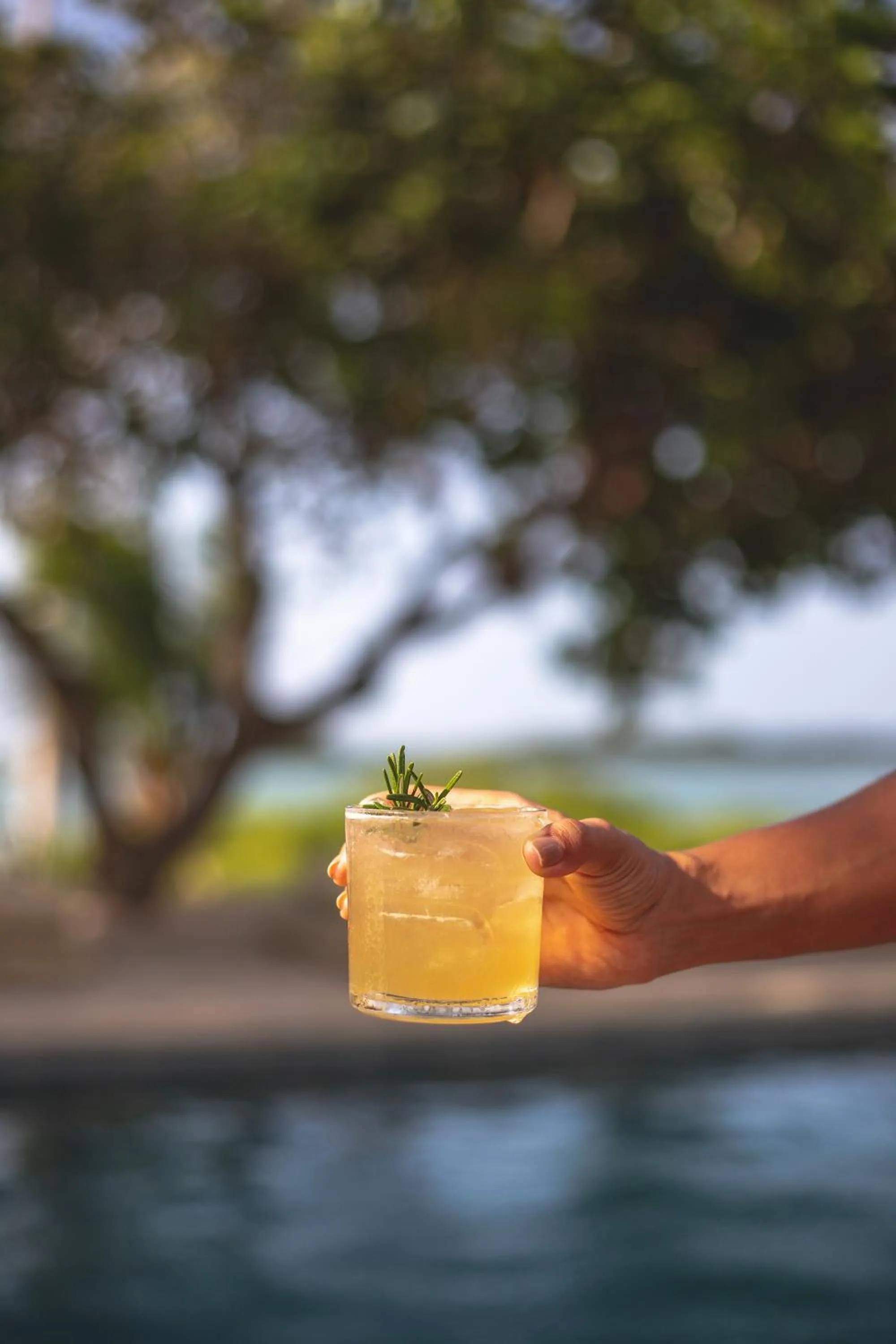 Restaurant/places to eat in Casa Uca