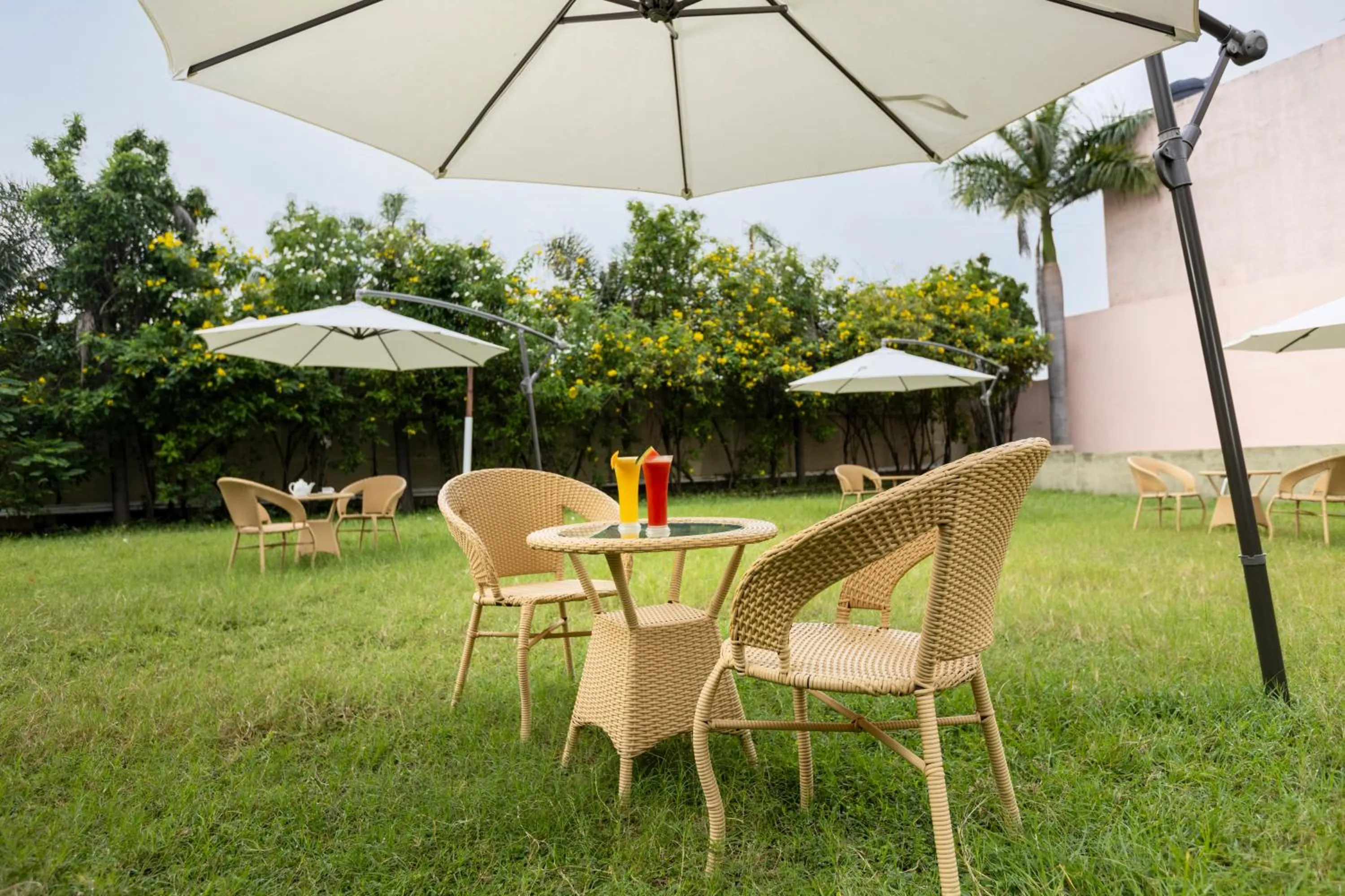 Garden in Athena Hotel