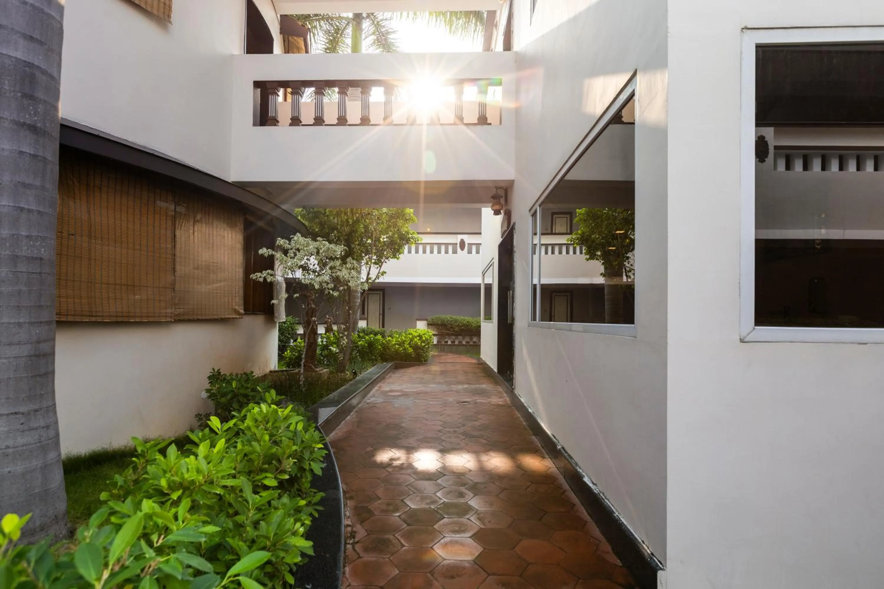 Garden in Athena Hotel