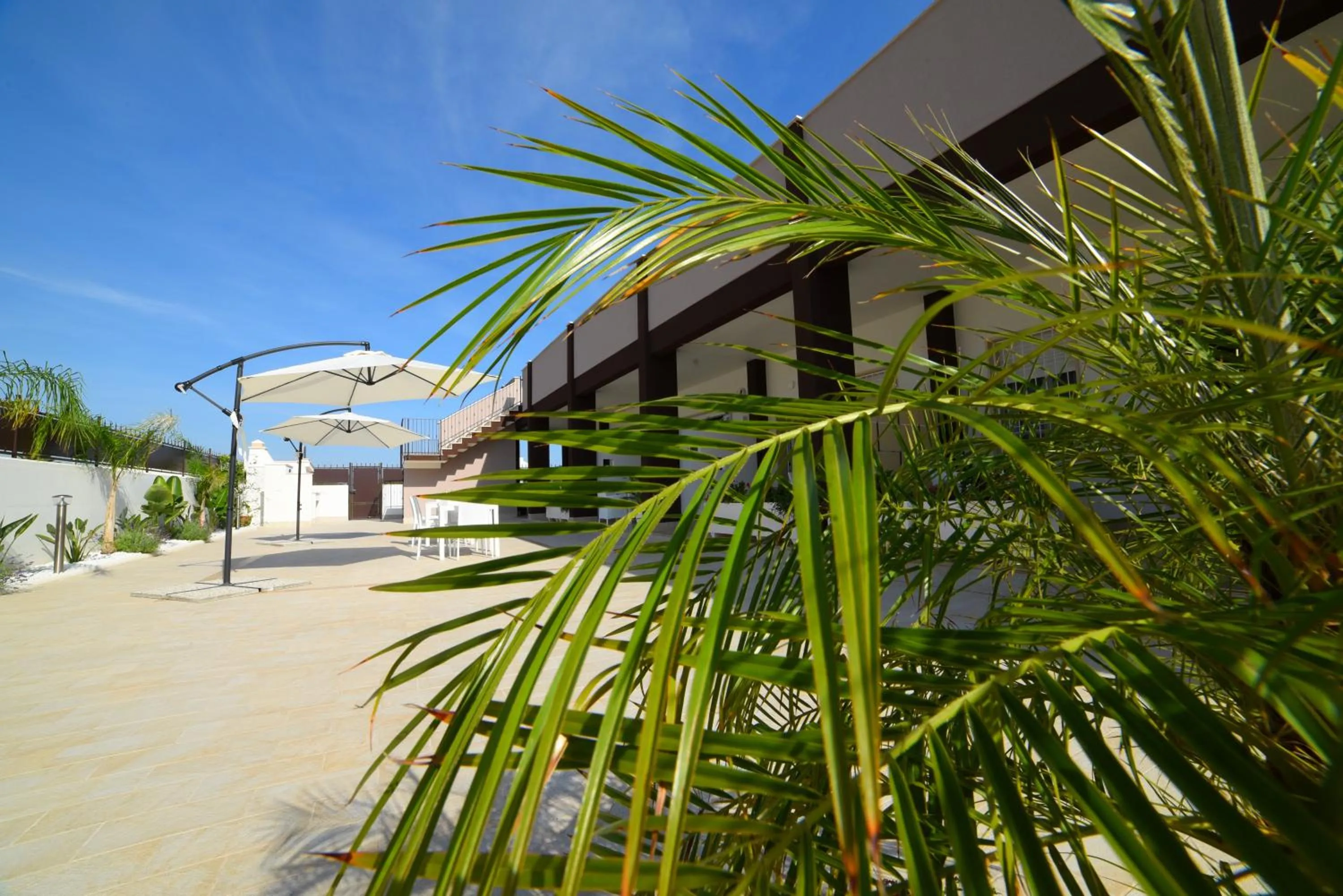 Garden in B&B Il FIORONE