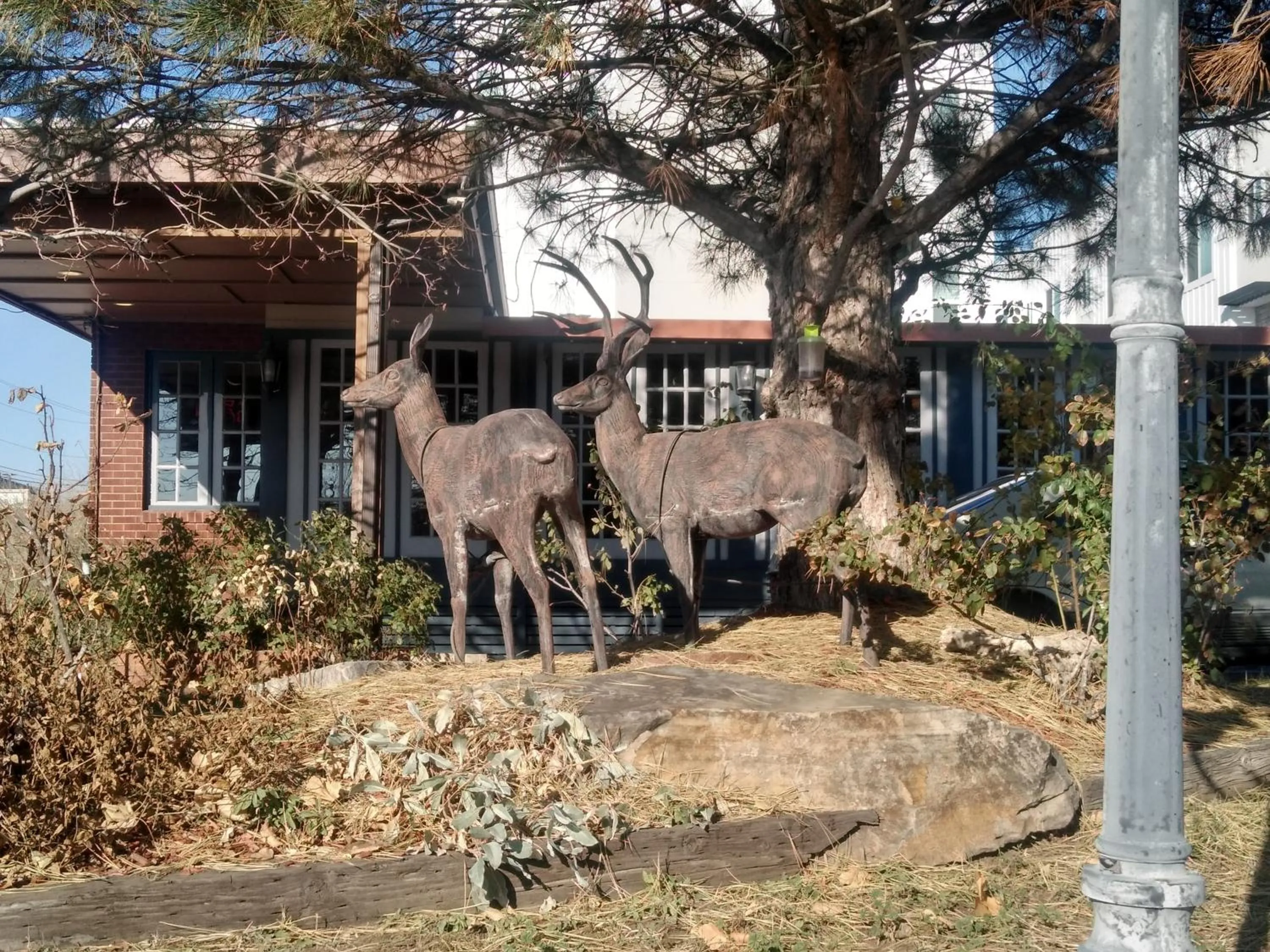 Garden in The Charin Inn
